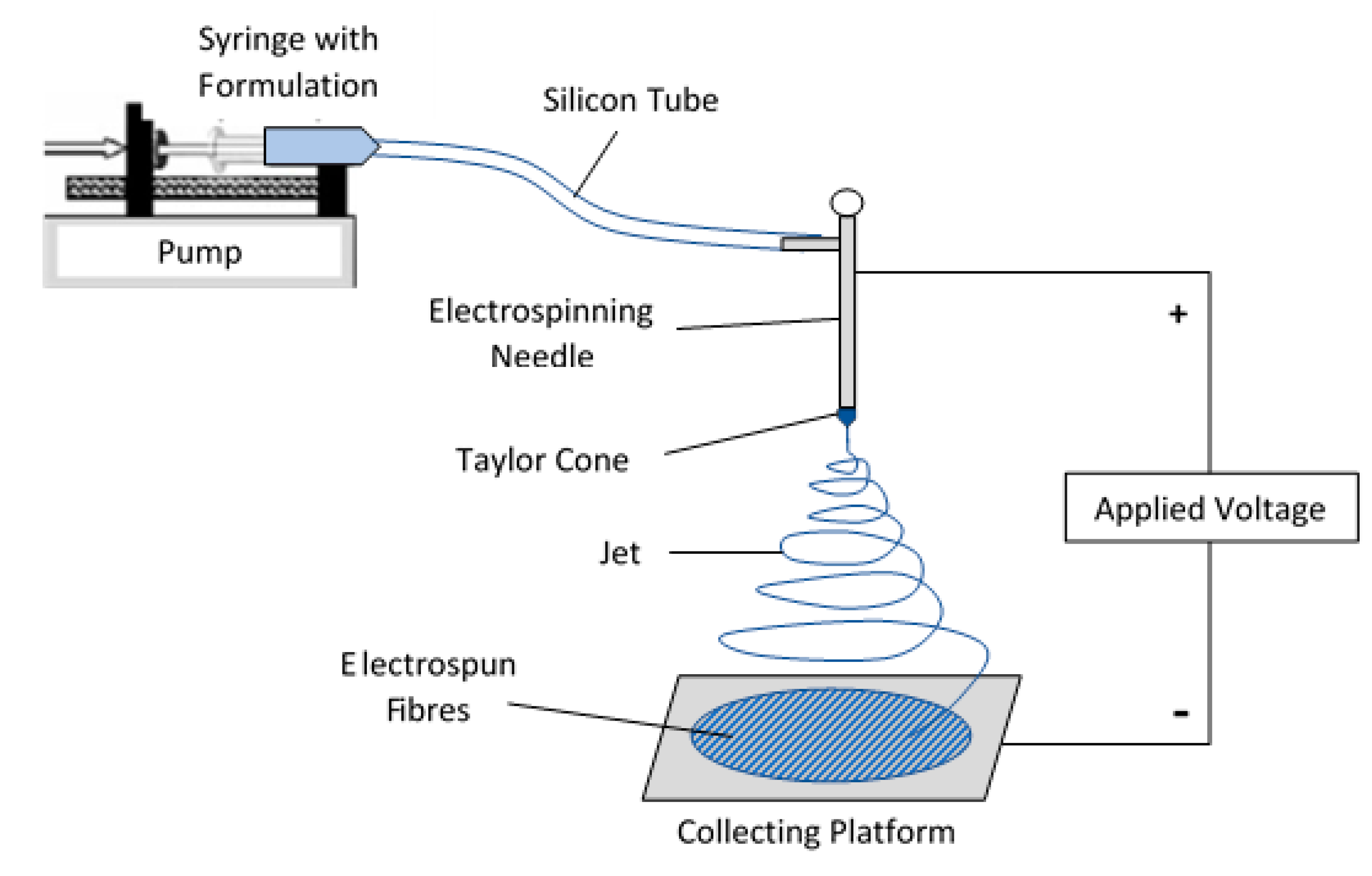Pharmaceutics 12 00002 g002 Pharmaceutics 12 00002 g002