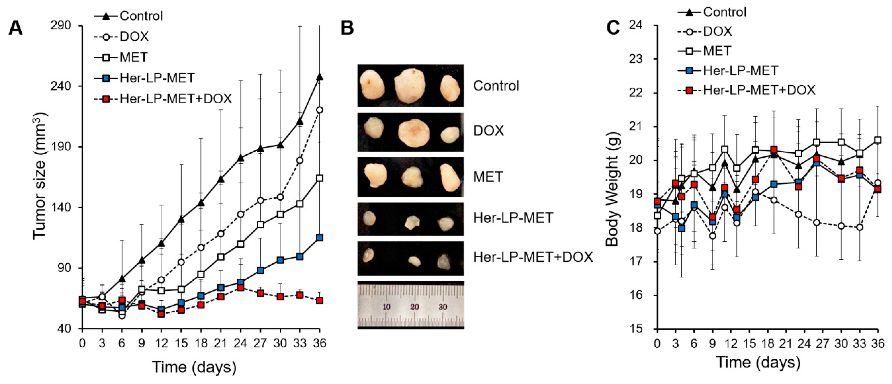Pharmaceutics 12 00011 g007