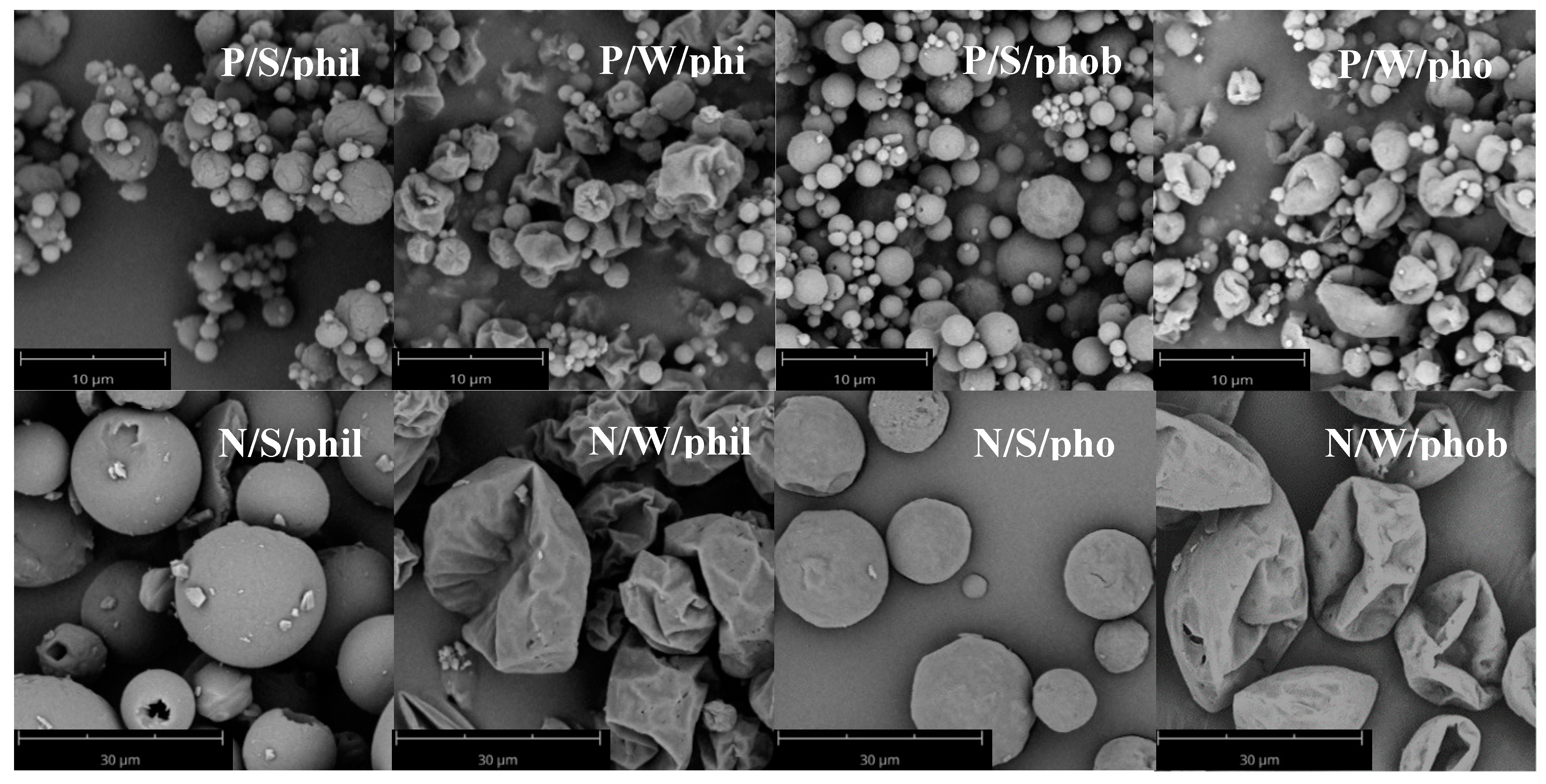 Pharmaceutics 12 00014 g003
