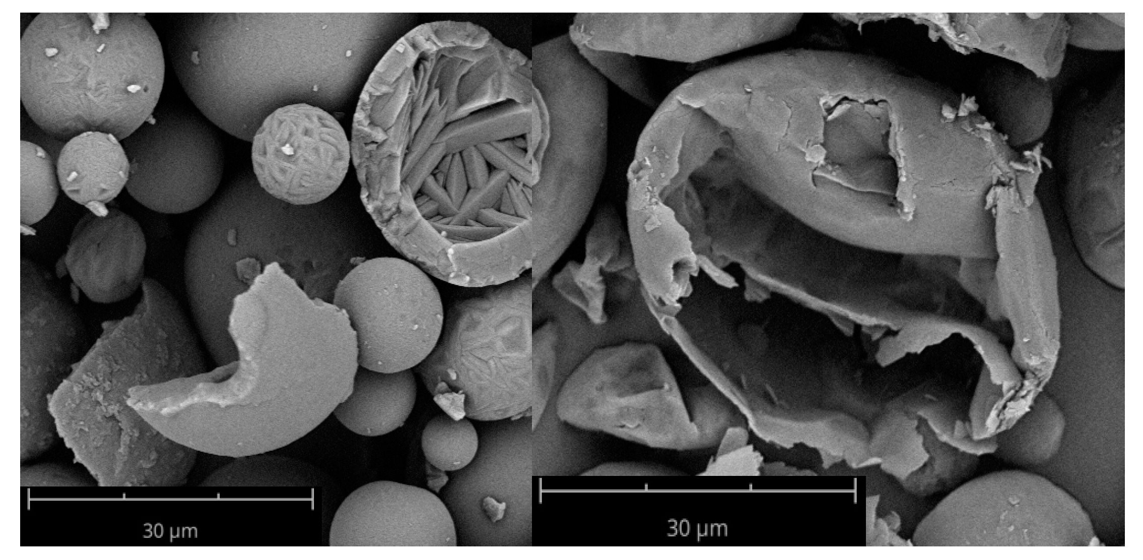 Pharmaceutics 12 00014 g004