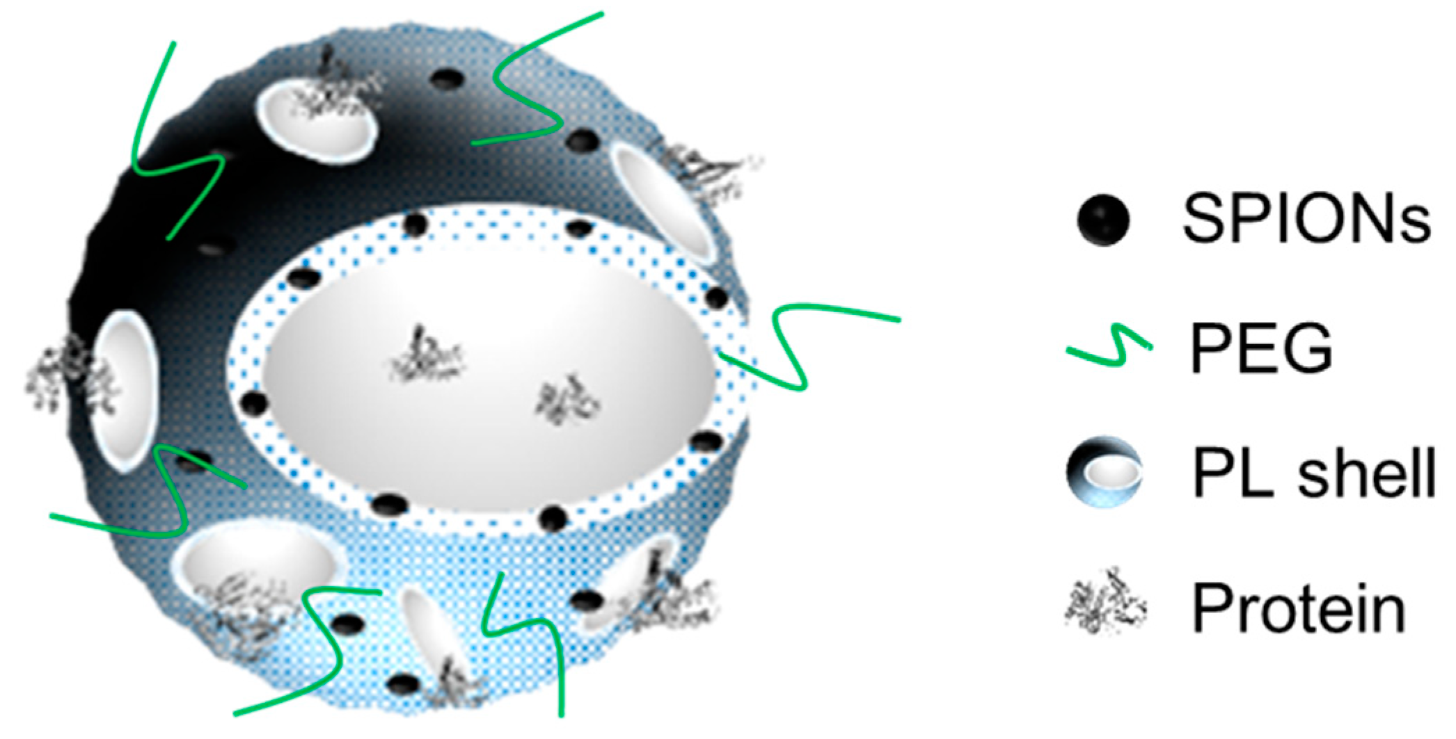 Pharmaceutics 12 00016 g001 Pharmaceutics 12 00016 g001