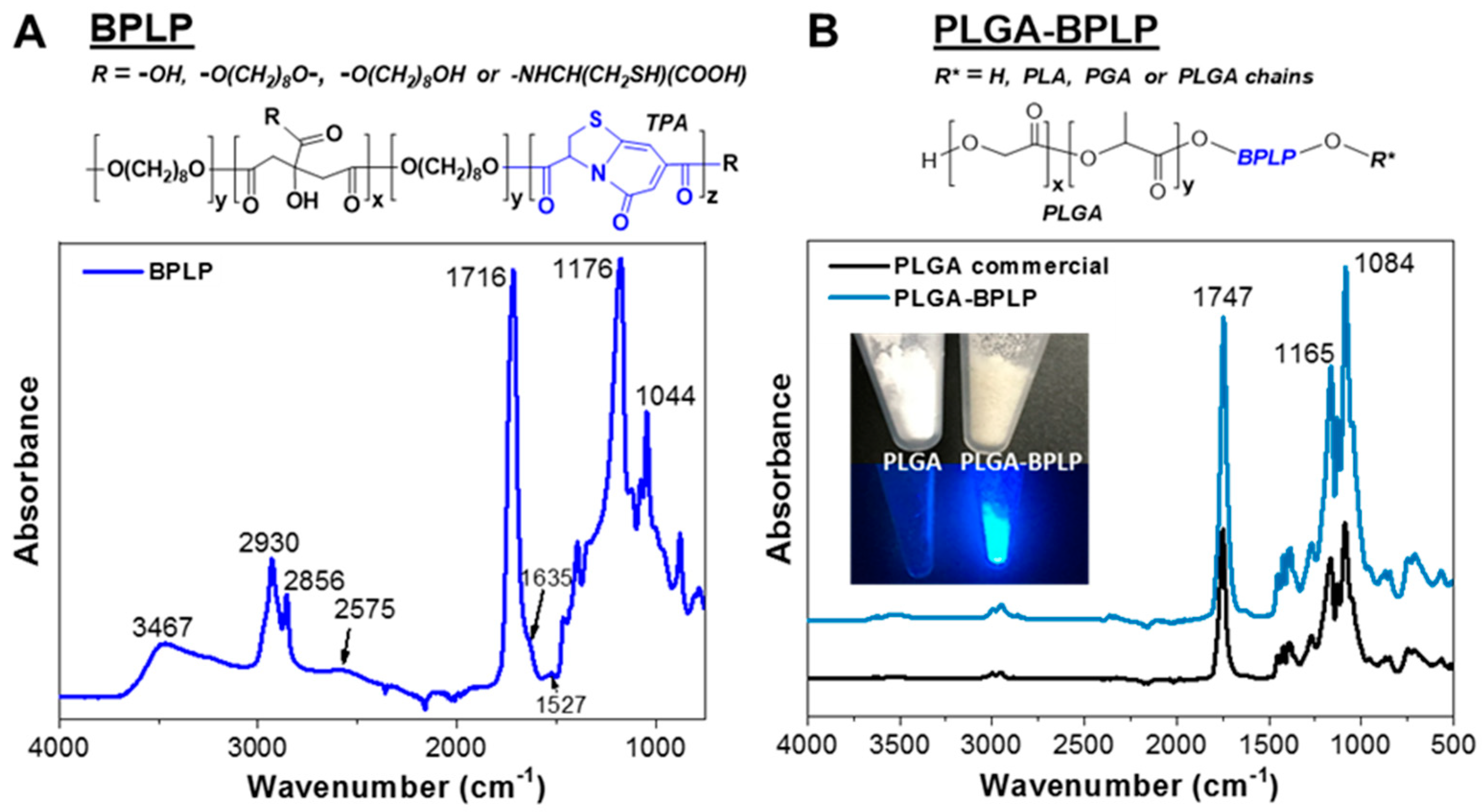 Pharmaceutics 12 00016 g002 Pharmaceutics 12 00016 g002