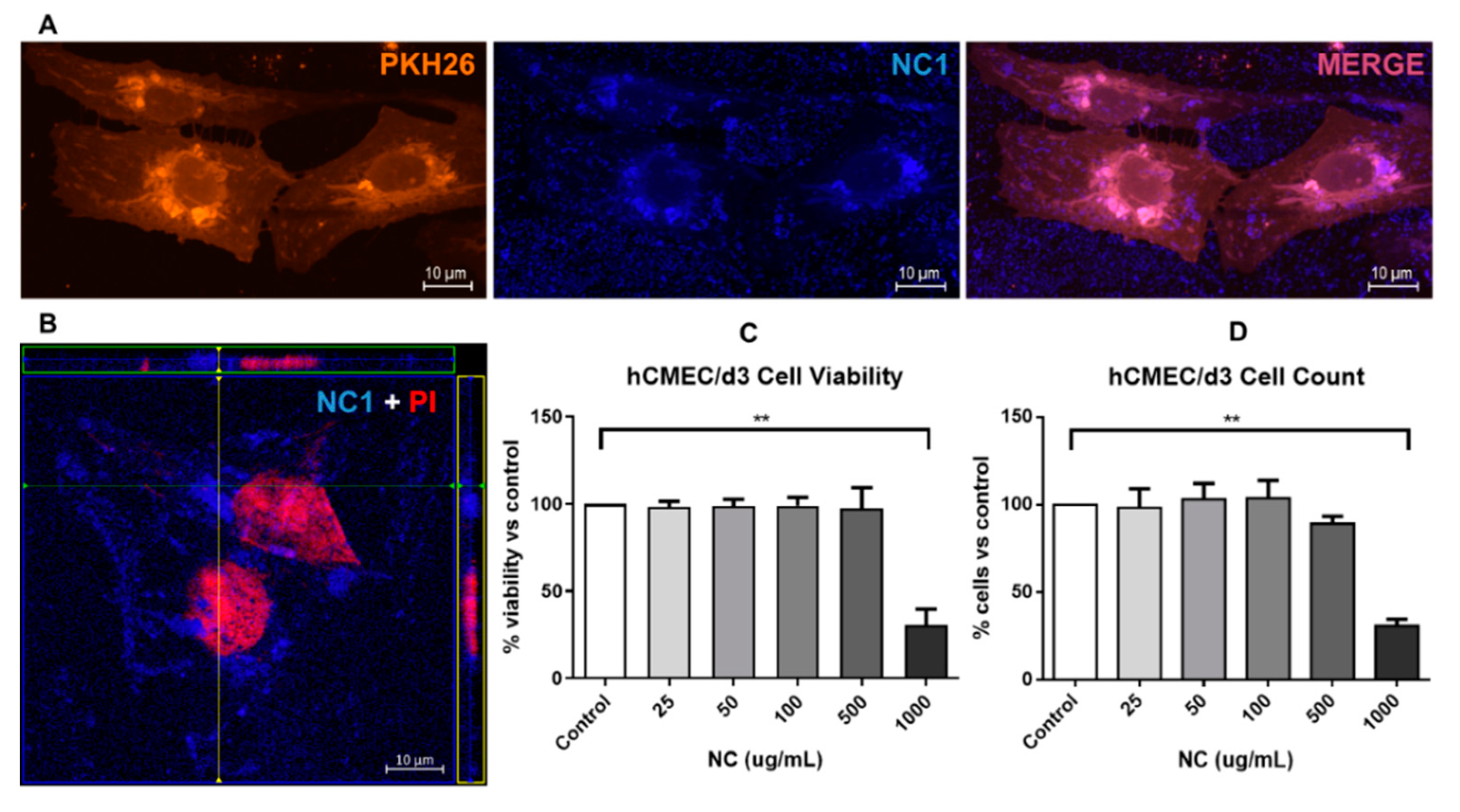 Pharmaceutics 12 00016 g008 Pharmaceutics 12 00016 g008