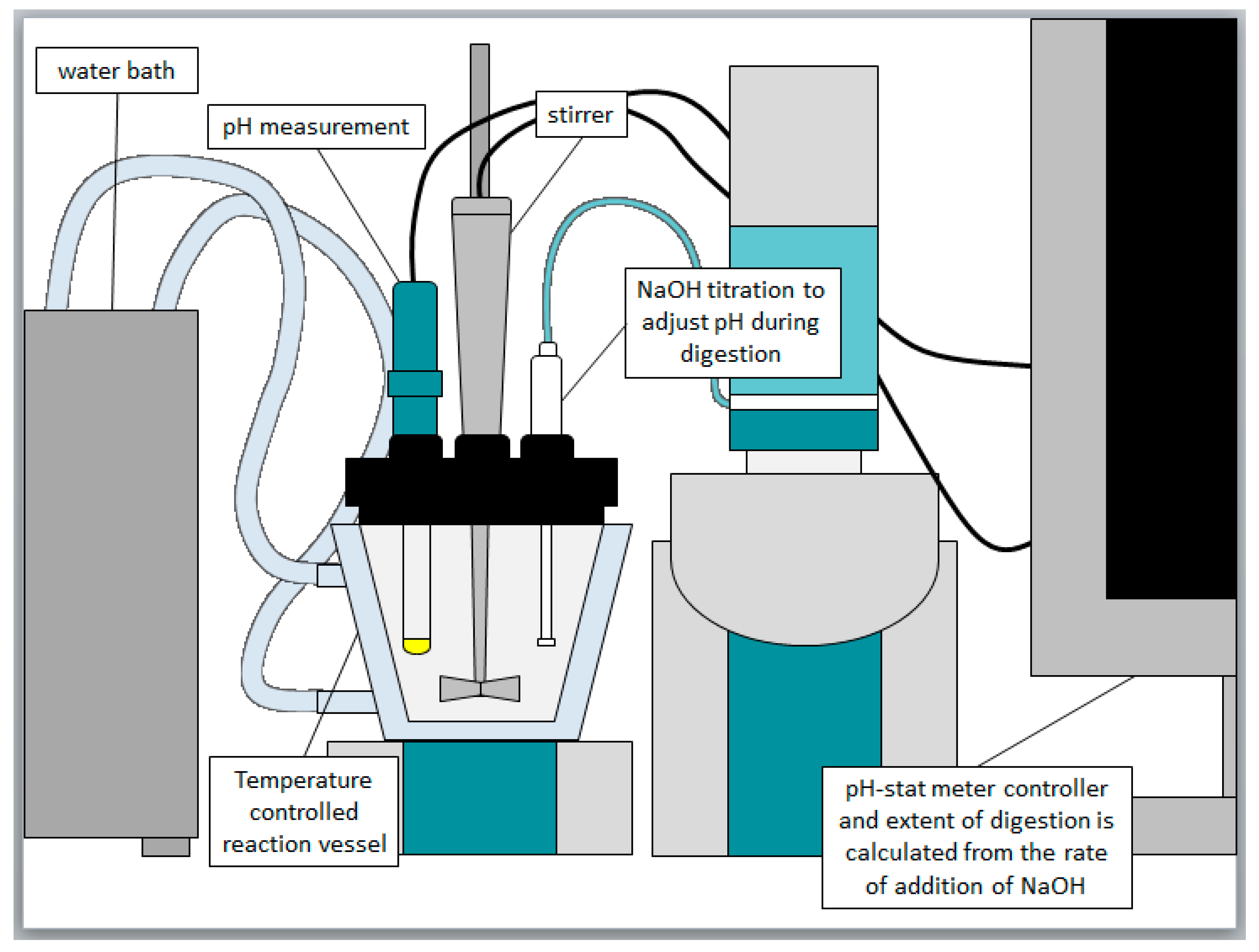 Pharmaceutics 12 00017 g001