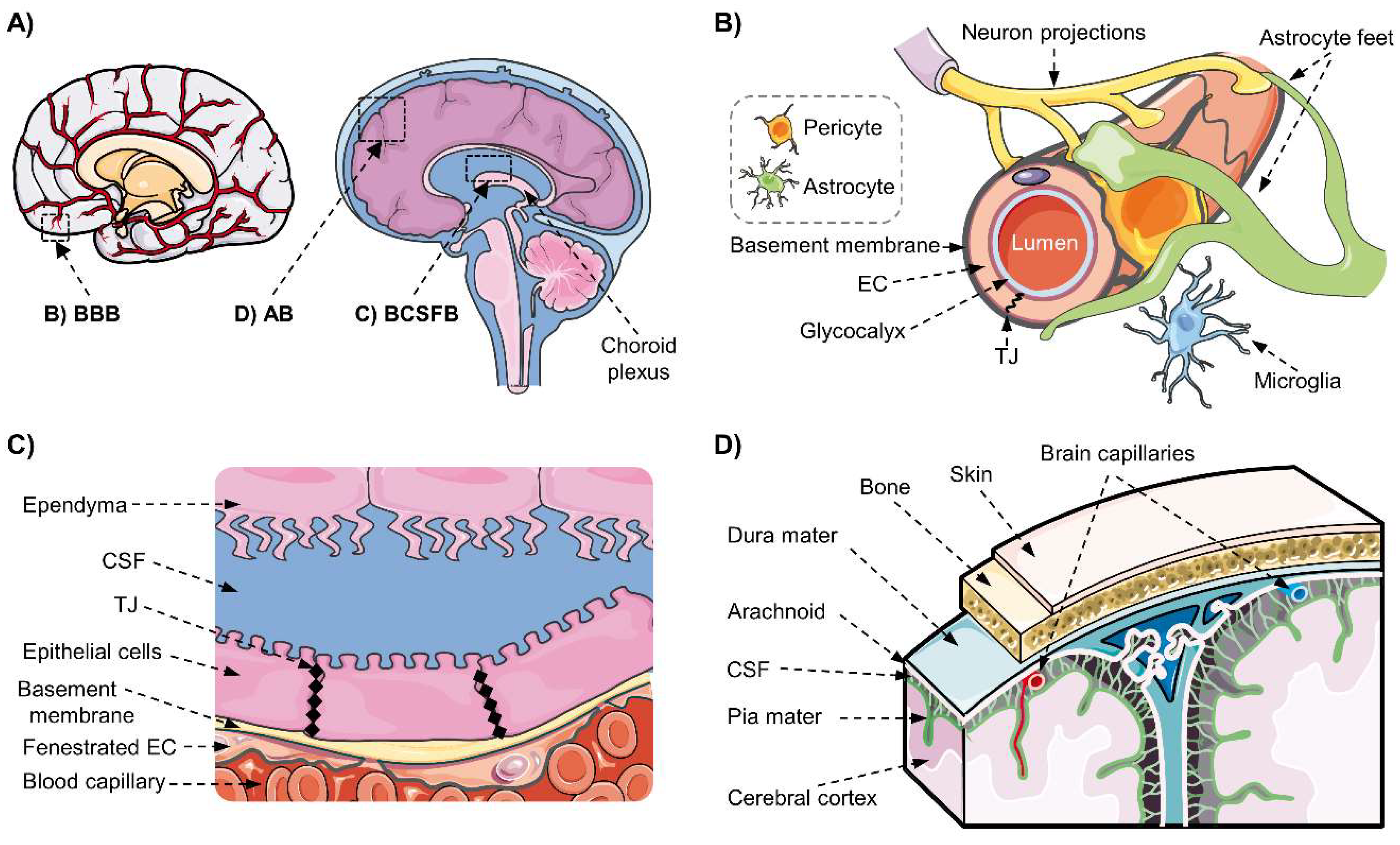 Pharmaceutics 12 00020 g001