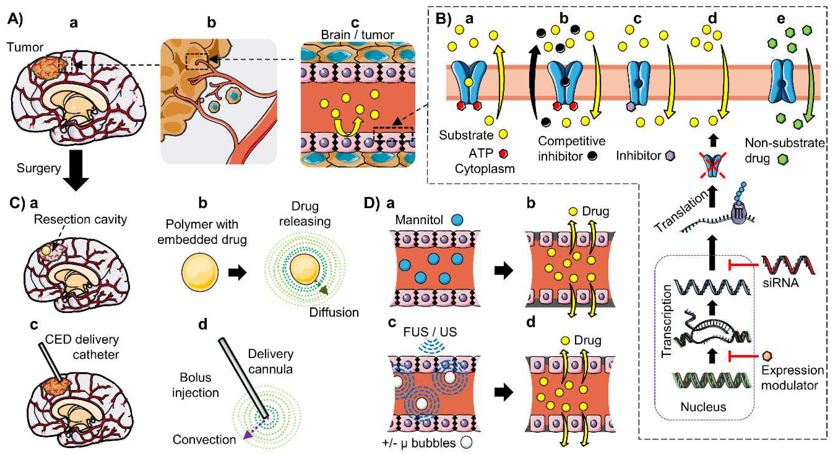 Pharmaceutics 12 00020 g004