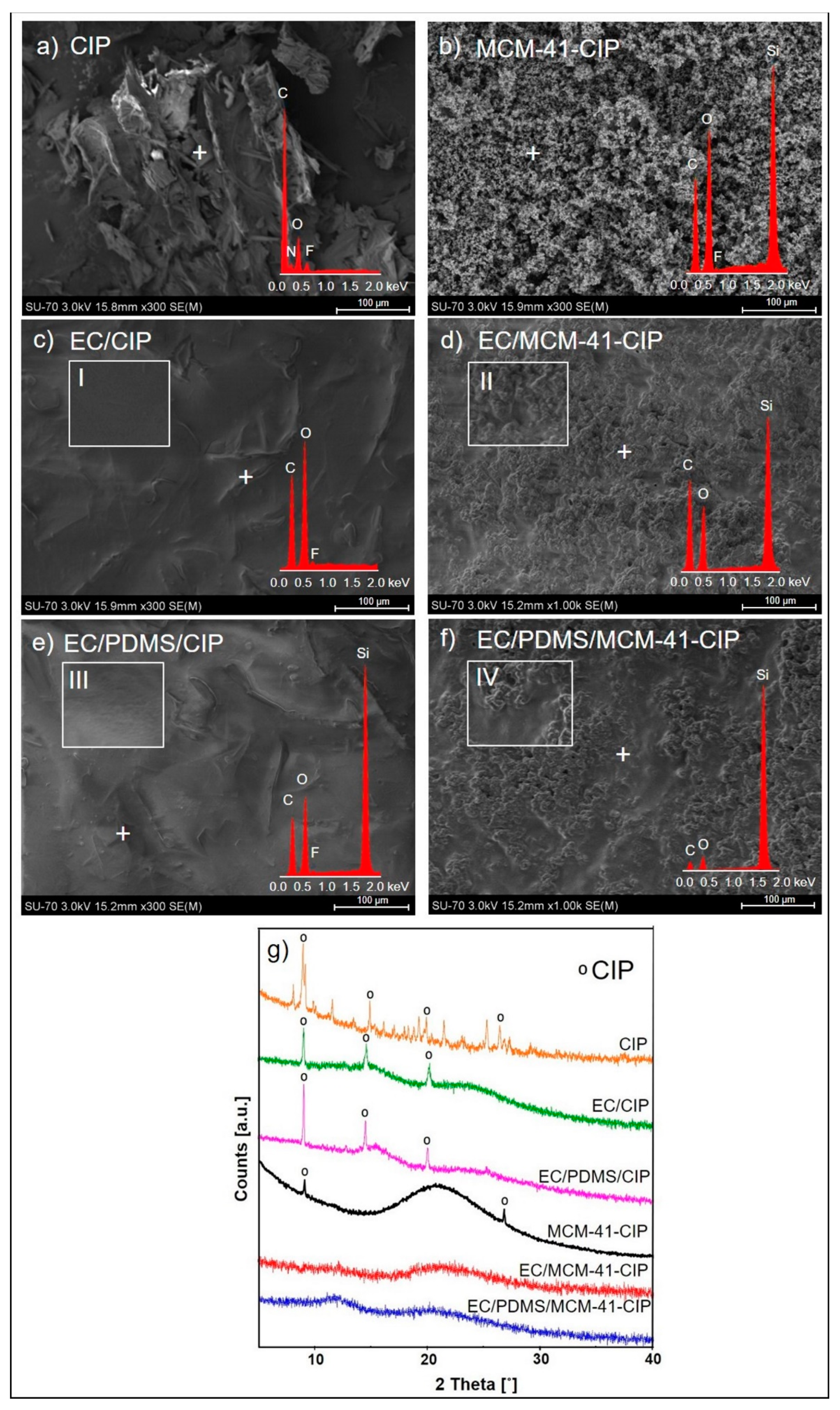 Pharmaceutics 12 00028 g002 Pharmaceutics 12 00028 g002