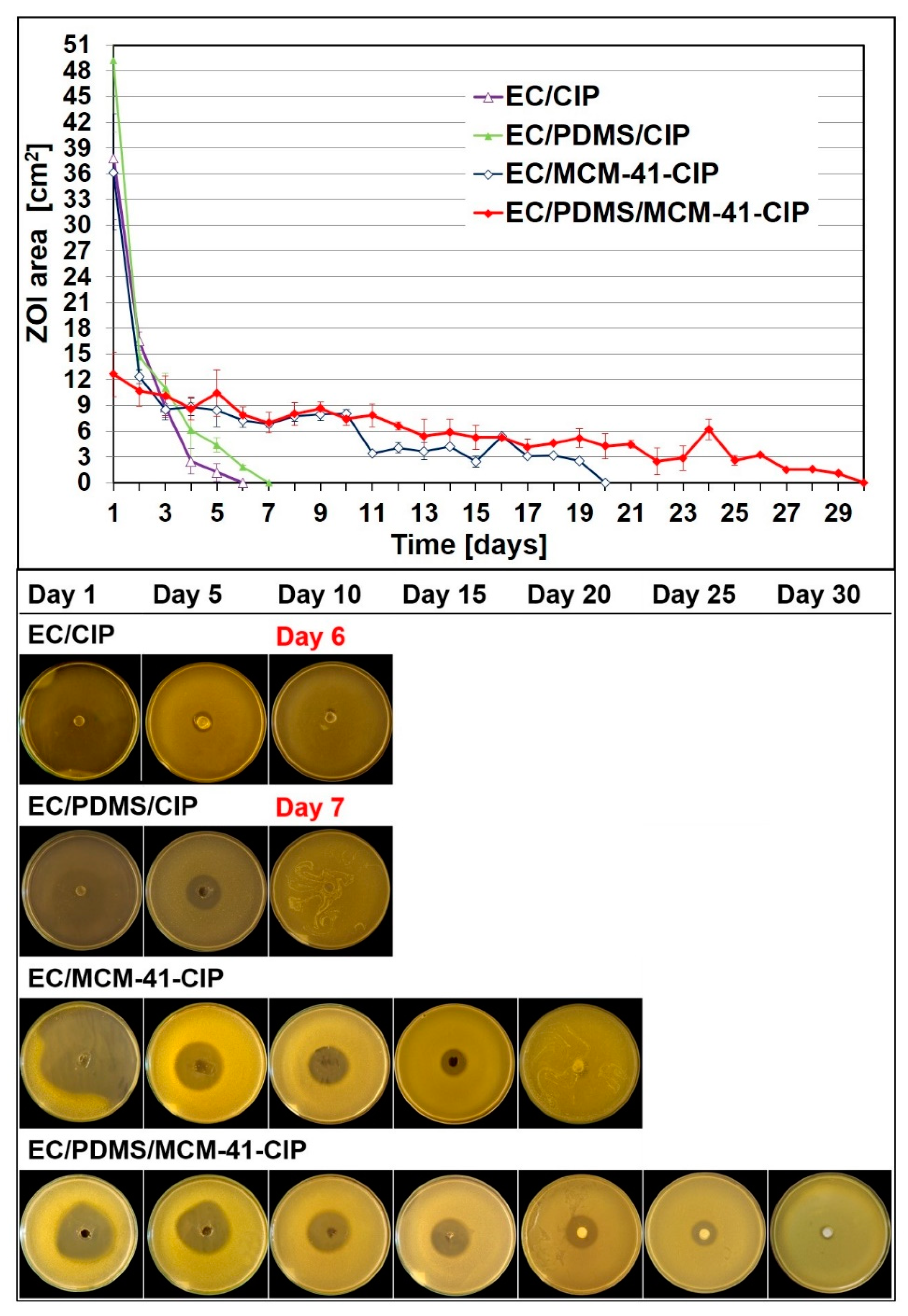 Pharmaceutics 12 00028 g005 Pharmaceutics 12 00028 g005