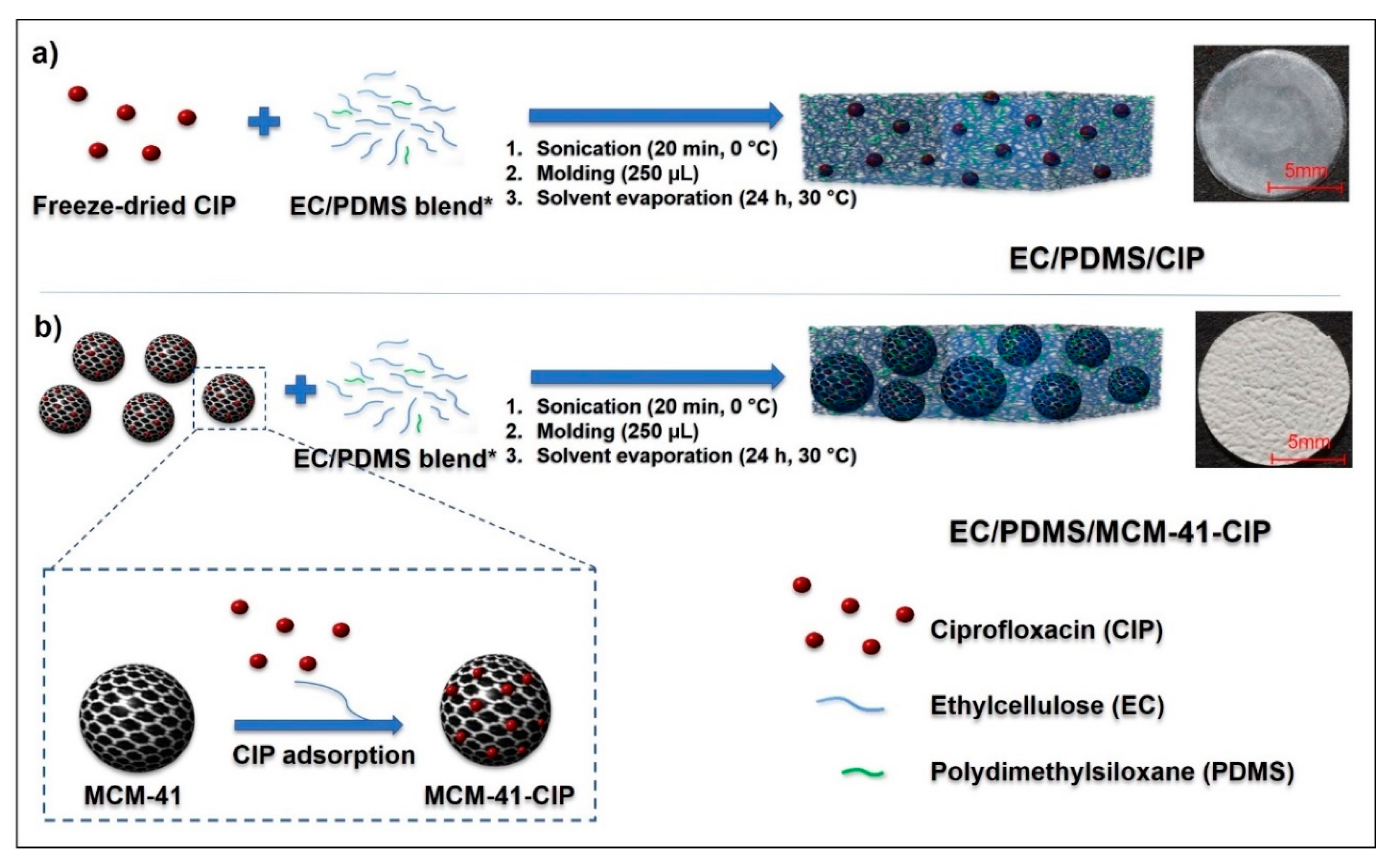 Pharmaceutics 12 00028 sch001 Pharmaceutics 12 00028 sch001