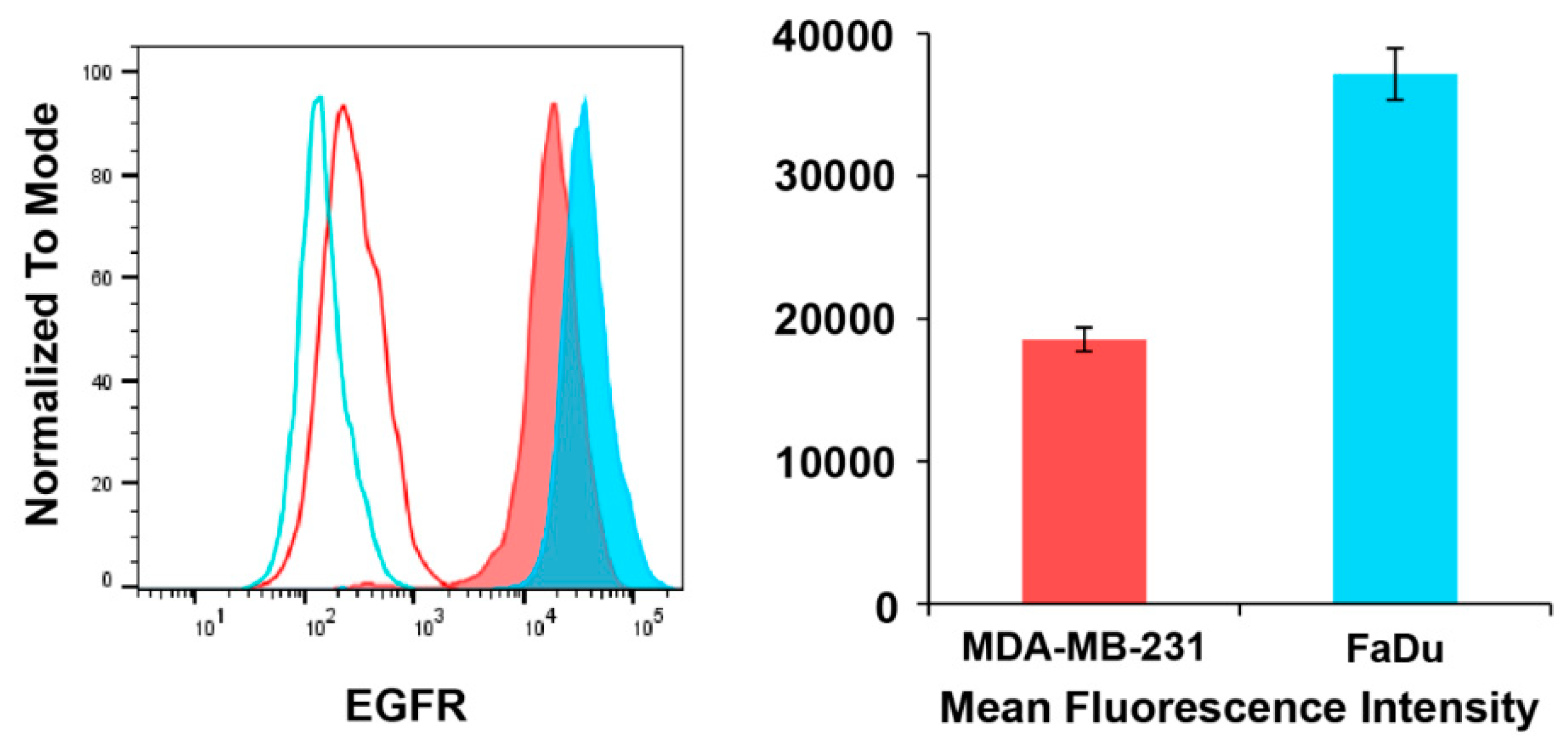 Pharmaceutics 12 00031 g001