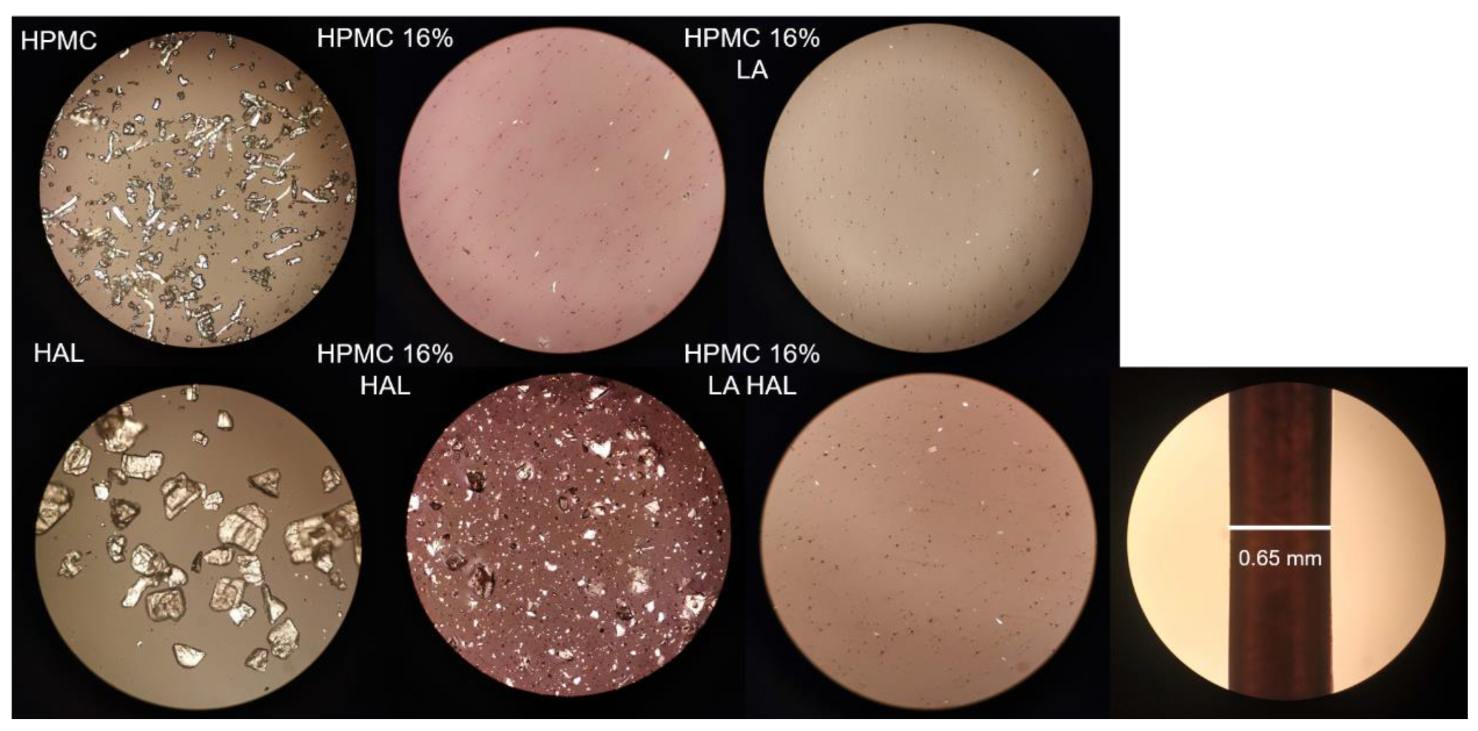 Pharmaceutics 12 00033 g008 Pharmaceutics 12 00033 g008