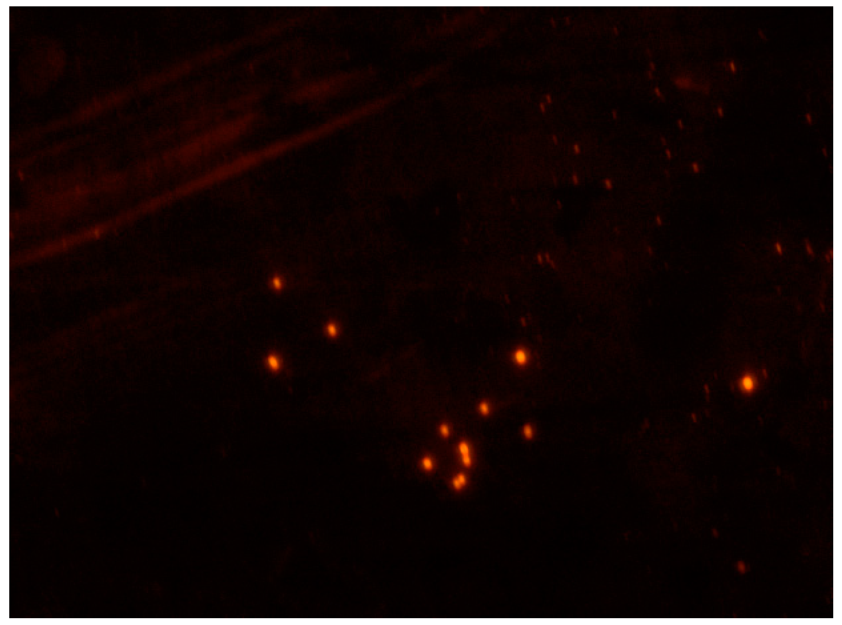 Pharmaceutics 12 00041 g003