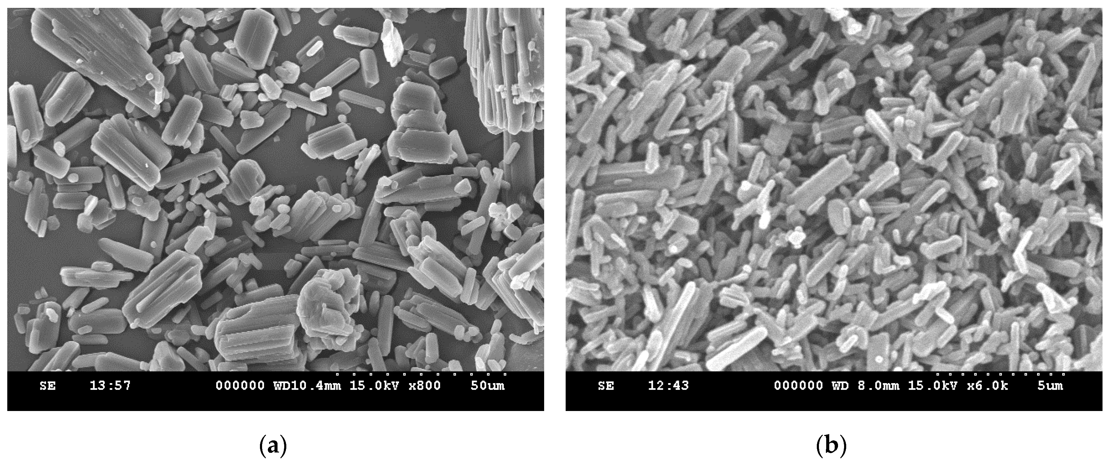 Pharmaceutics 12 00042 g003 Pharmaceutics 12 00042 g003