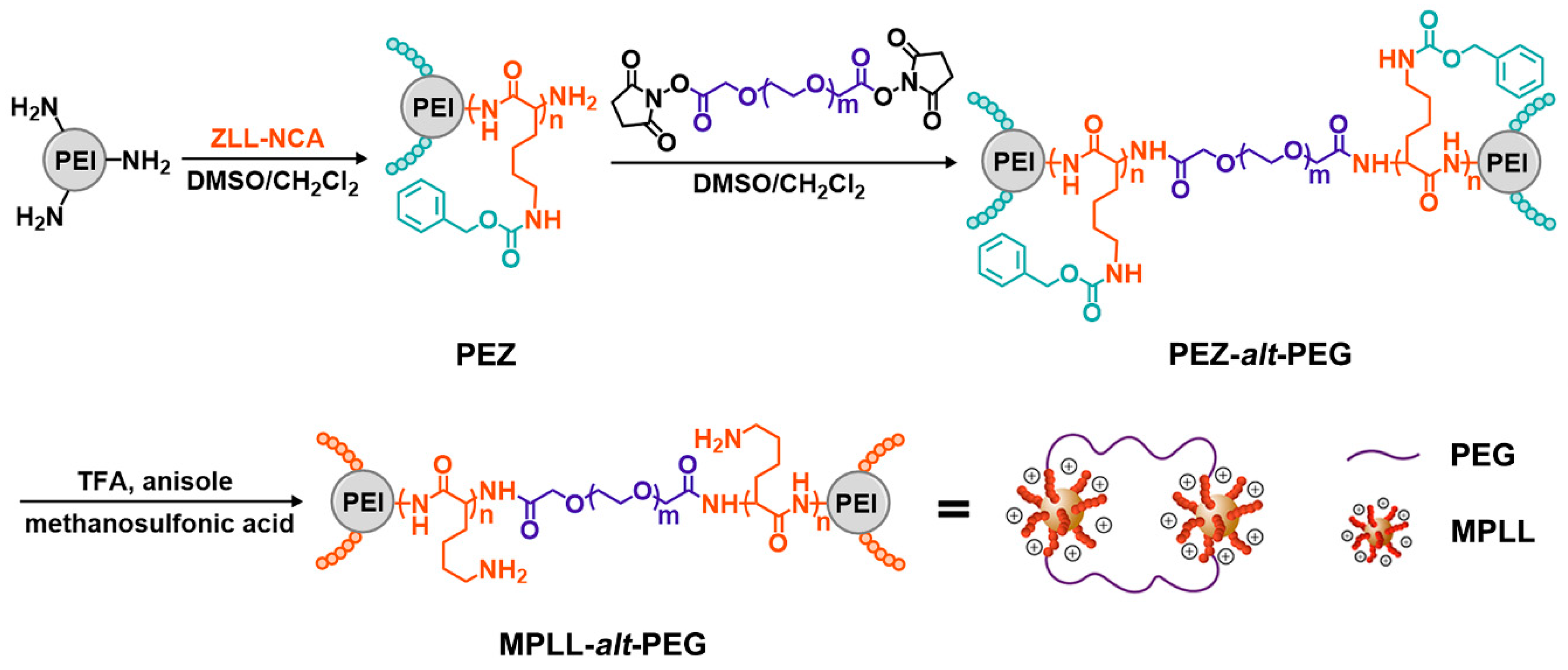 Pharmaceutics 12 00047 g001 Pharmaceutics 12 00047 g001