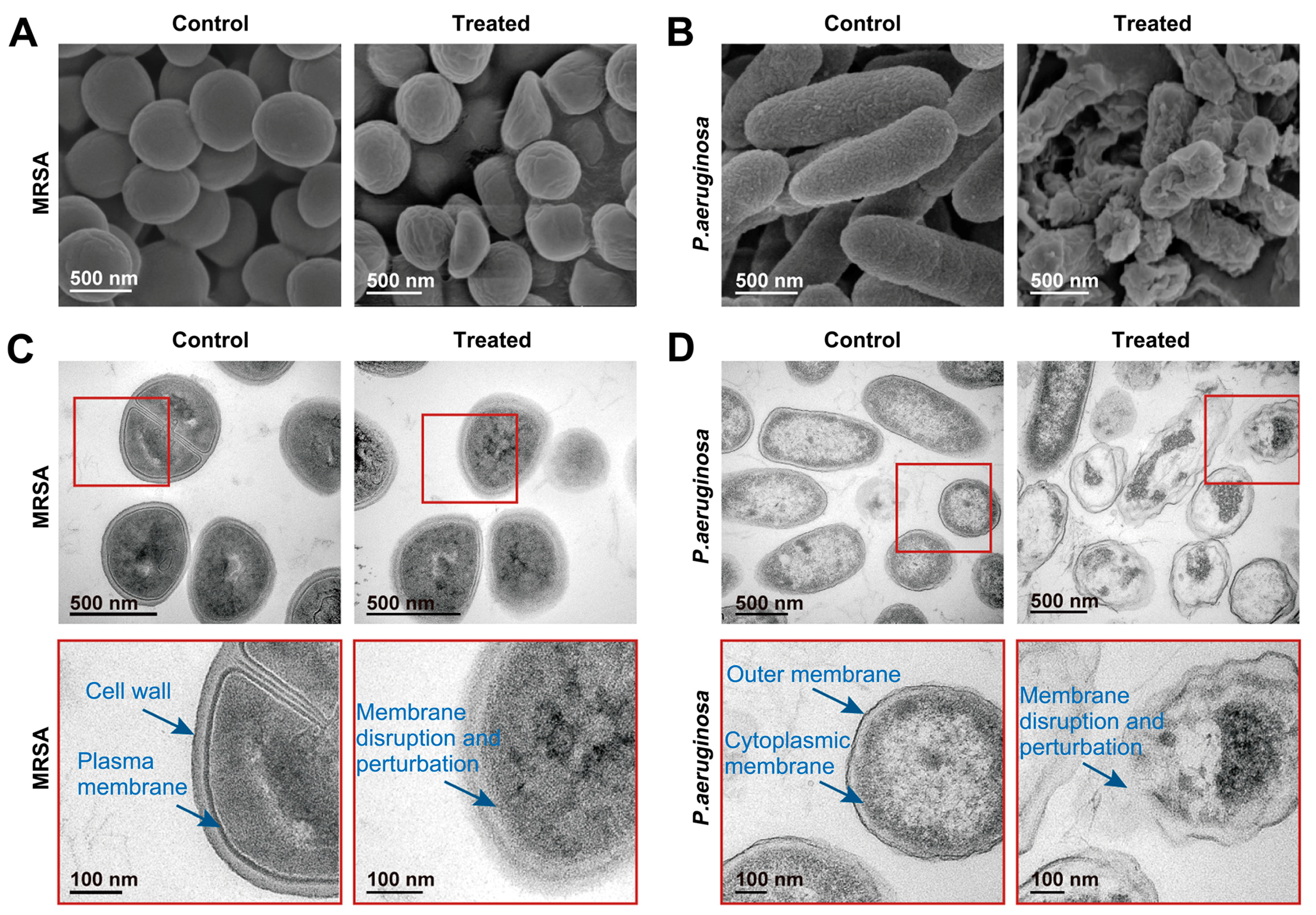 Pharmaceutics 12 00047 g006 Pharmaceutics 12 00047 g006