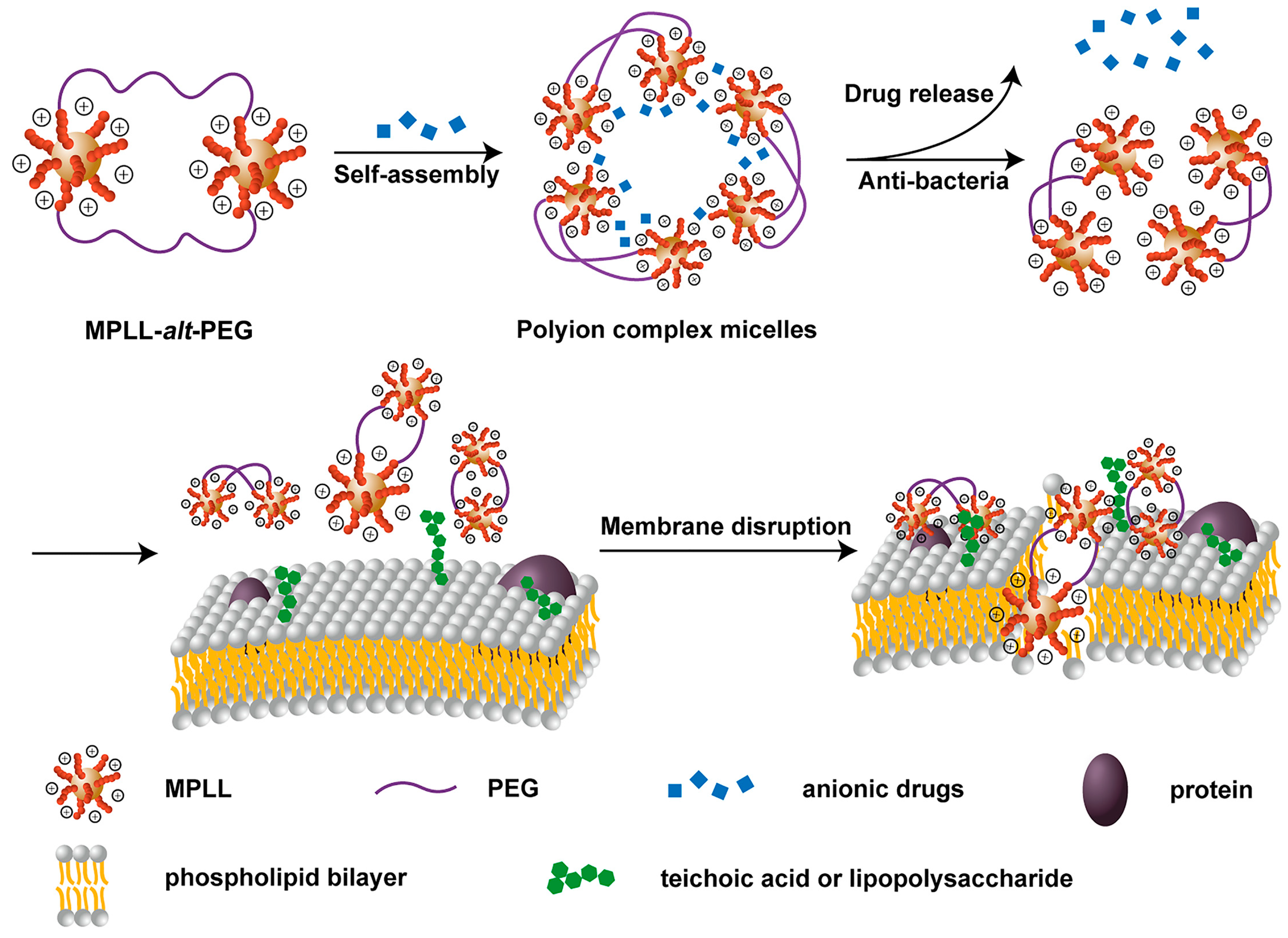 Pharmaceutics 12 00047 sch001 Pharmaceutics 12 00047 sch001