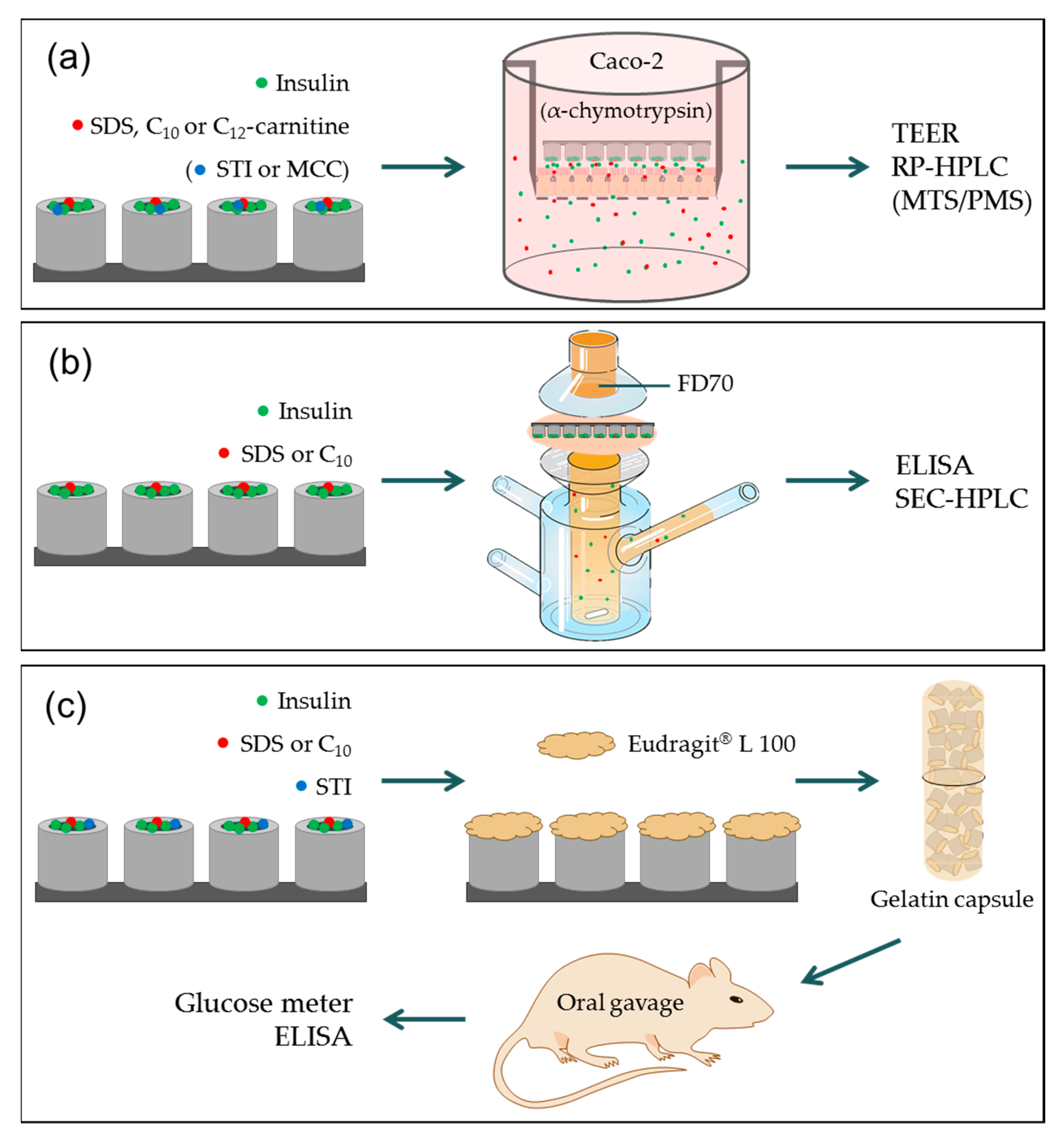Pharmaceutics 12 00048 g001 Pharmaceutics 12 00048 g001