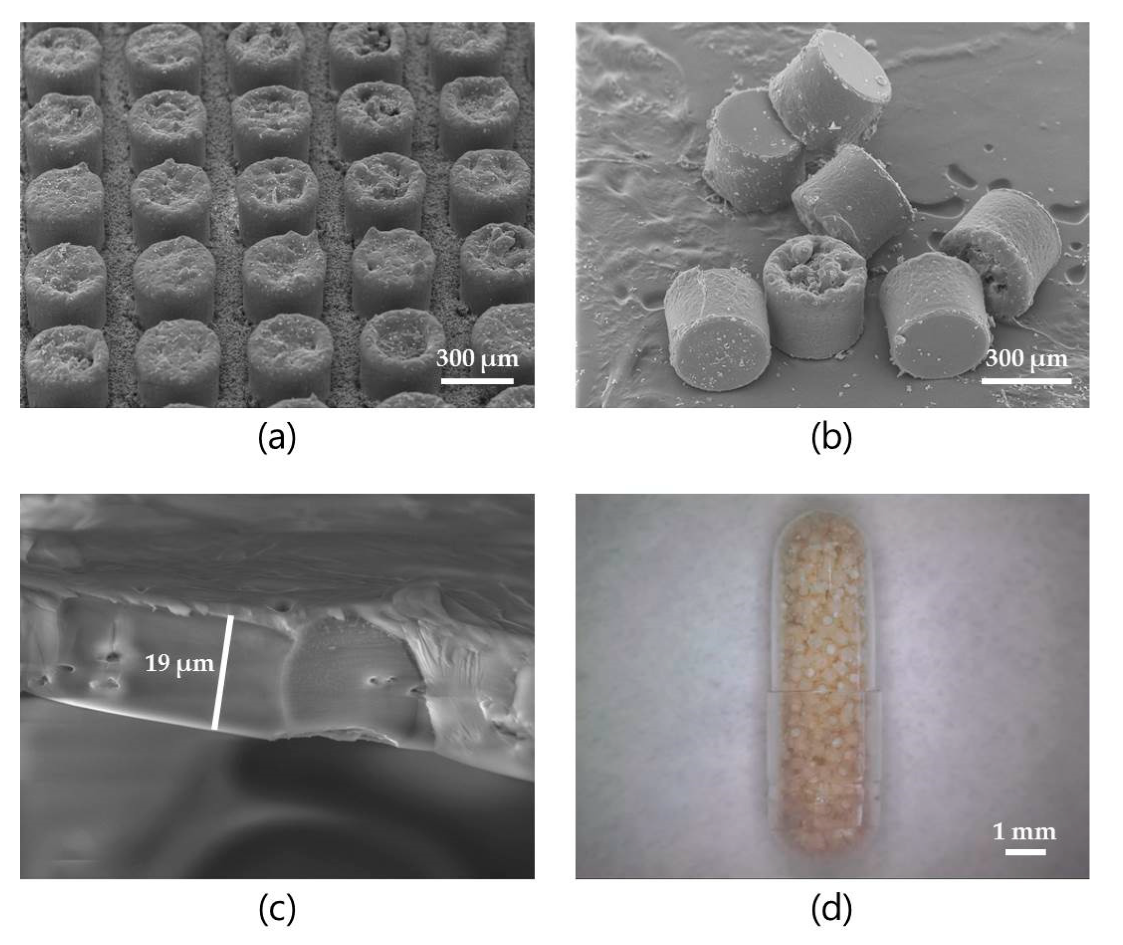 Pharmaceutics 12 00048 g007 Pharmaceutics 12 00048 g007