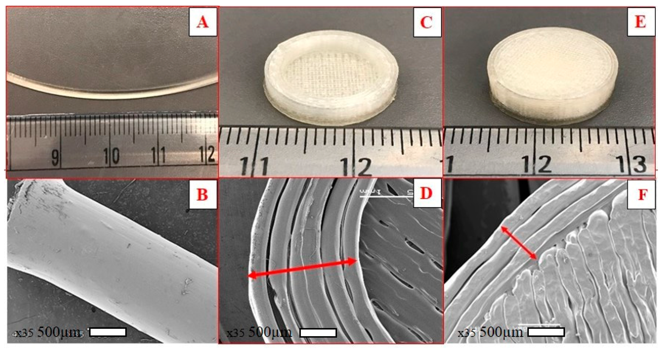 Pharmaceutics 12 00052 g006