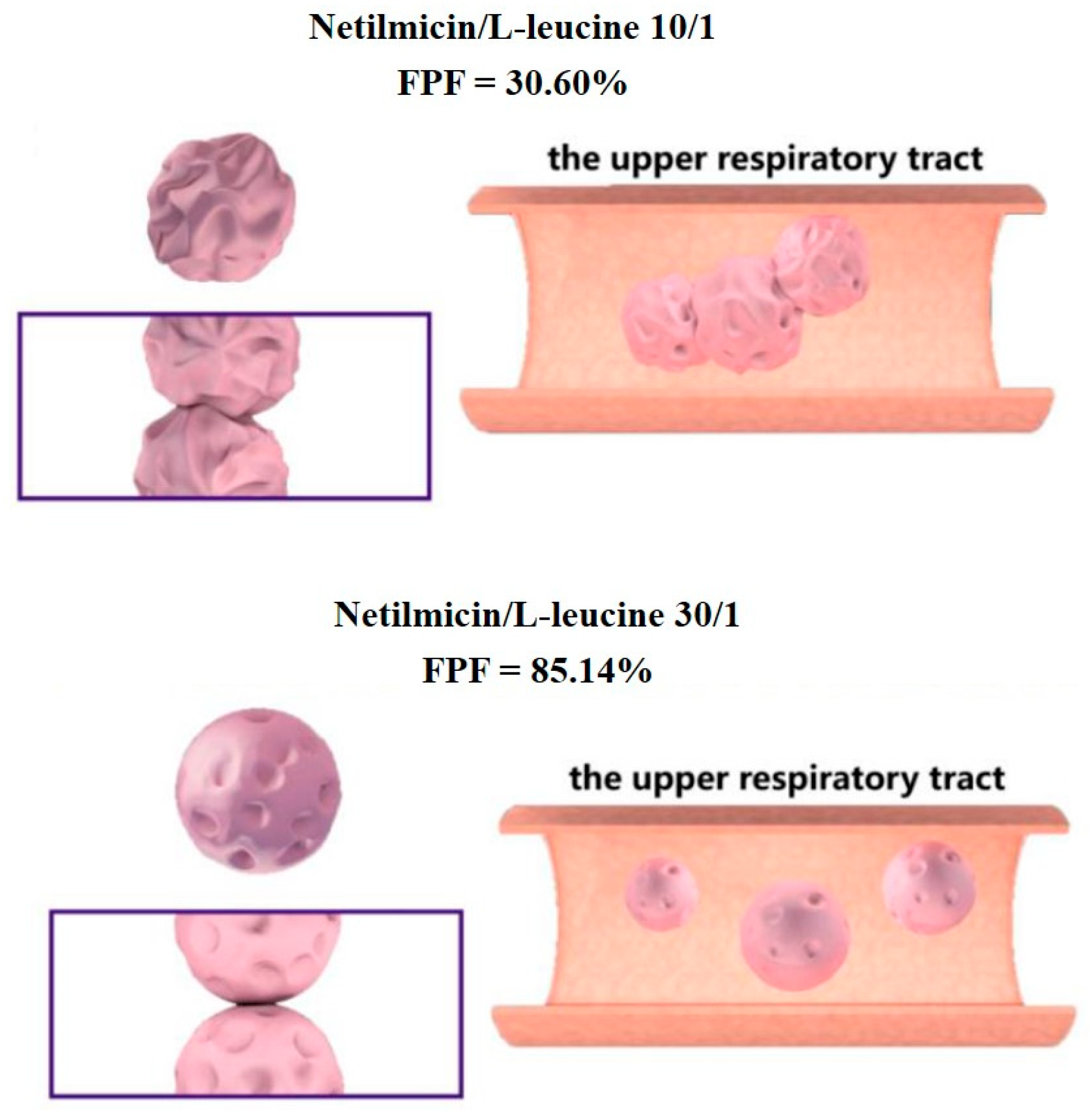 Pharmaceutics 12 00055 g010 Pharmaceutics 12 00055 g010