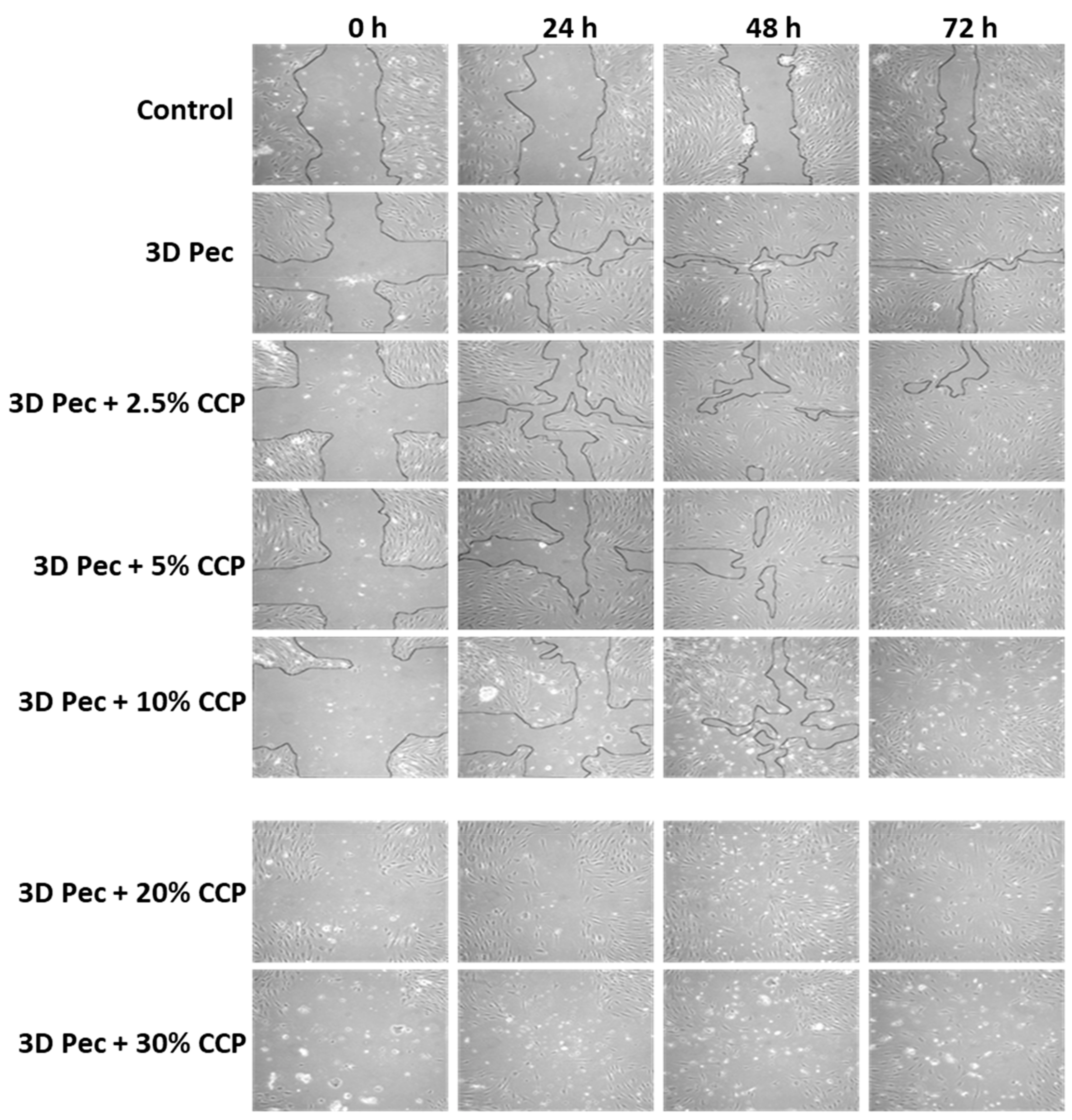 Pharmaceutics 12 00056 g011 Pharmaceutics 12 00056 g011