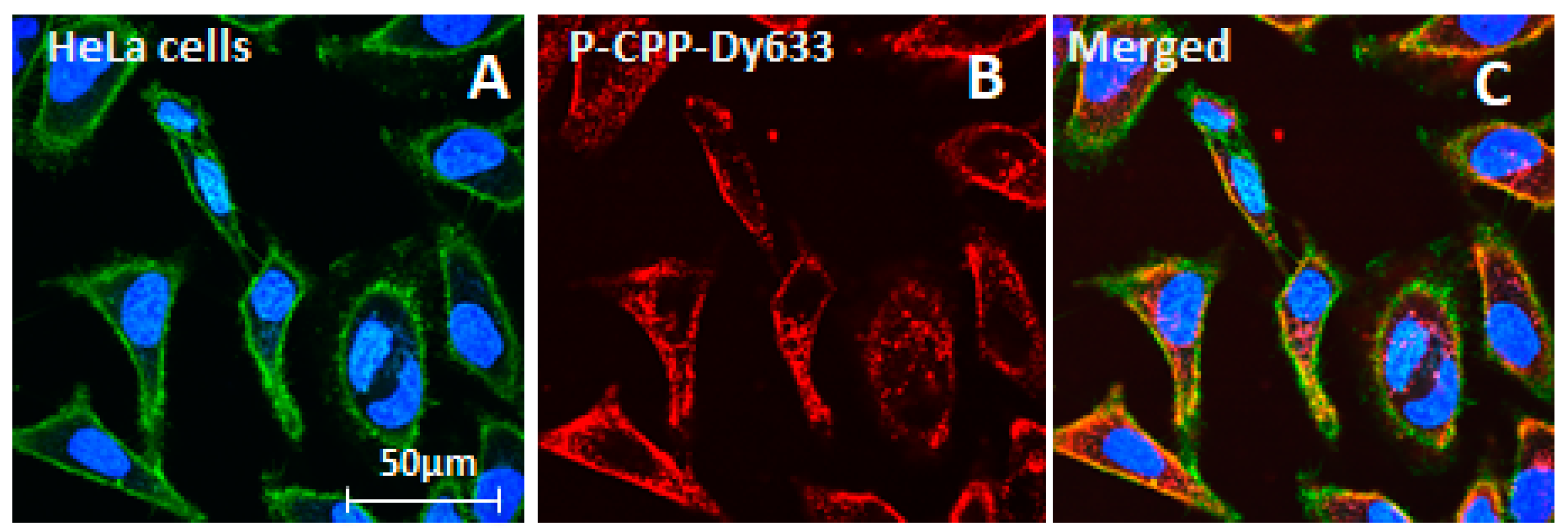 Pharmaceutics 12 00059 g004