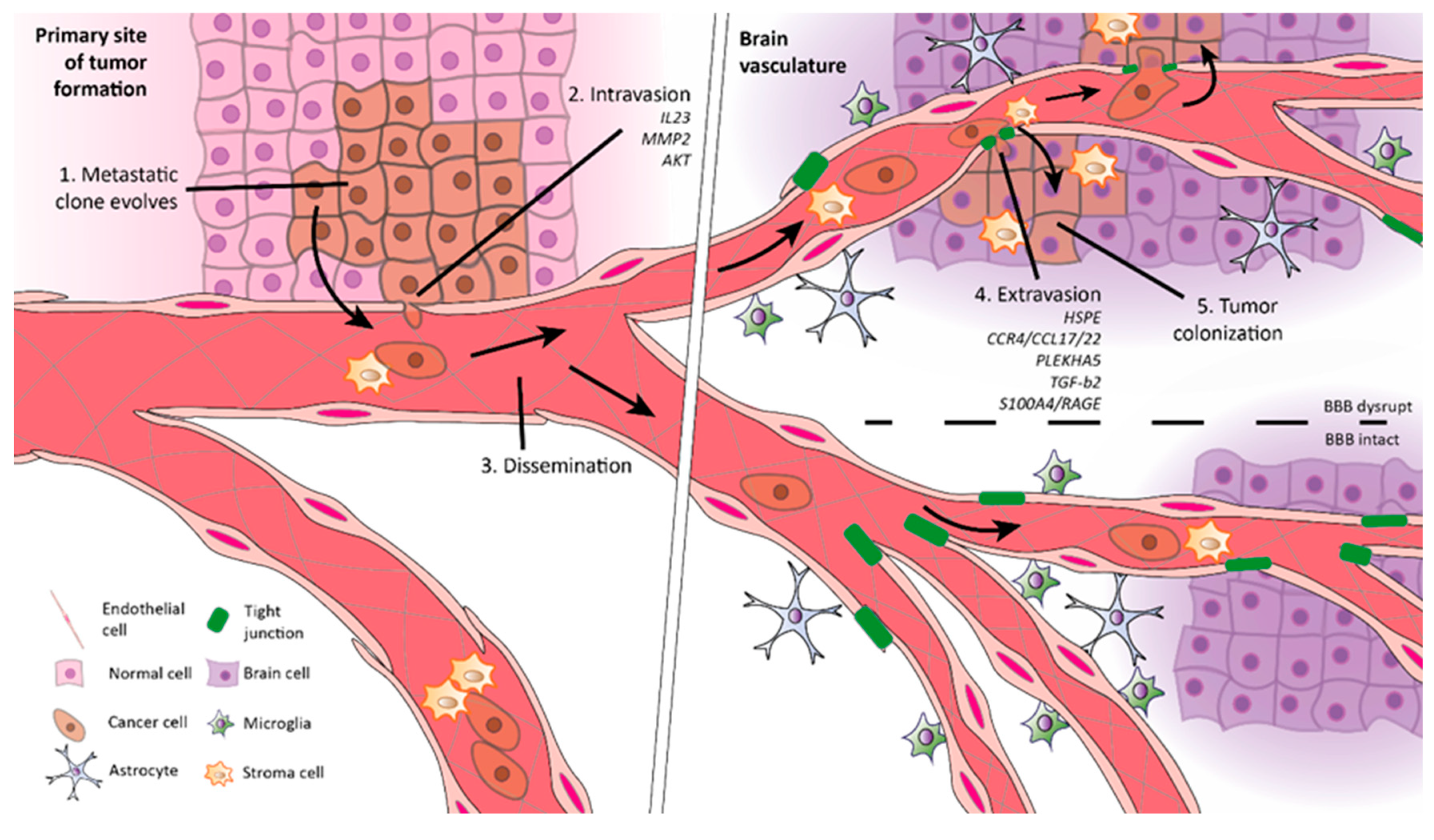 Pharmaceutics 12 00062 g001