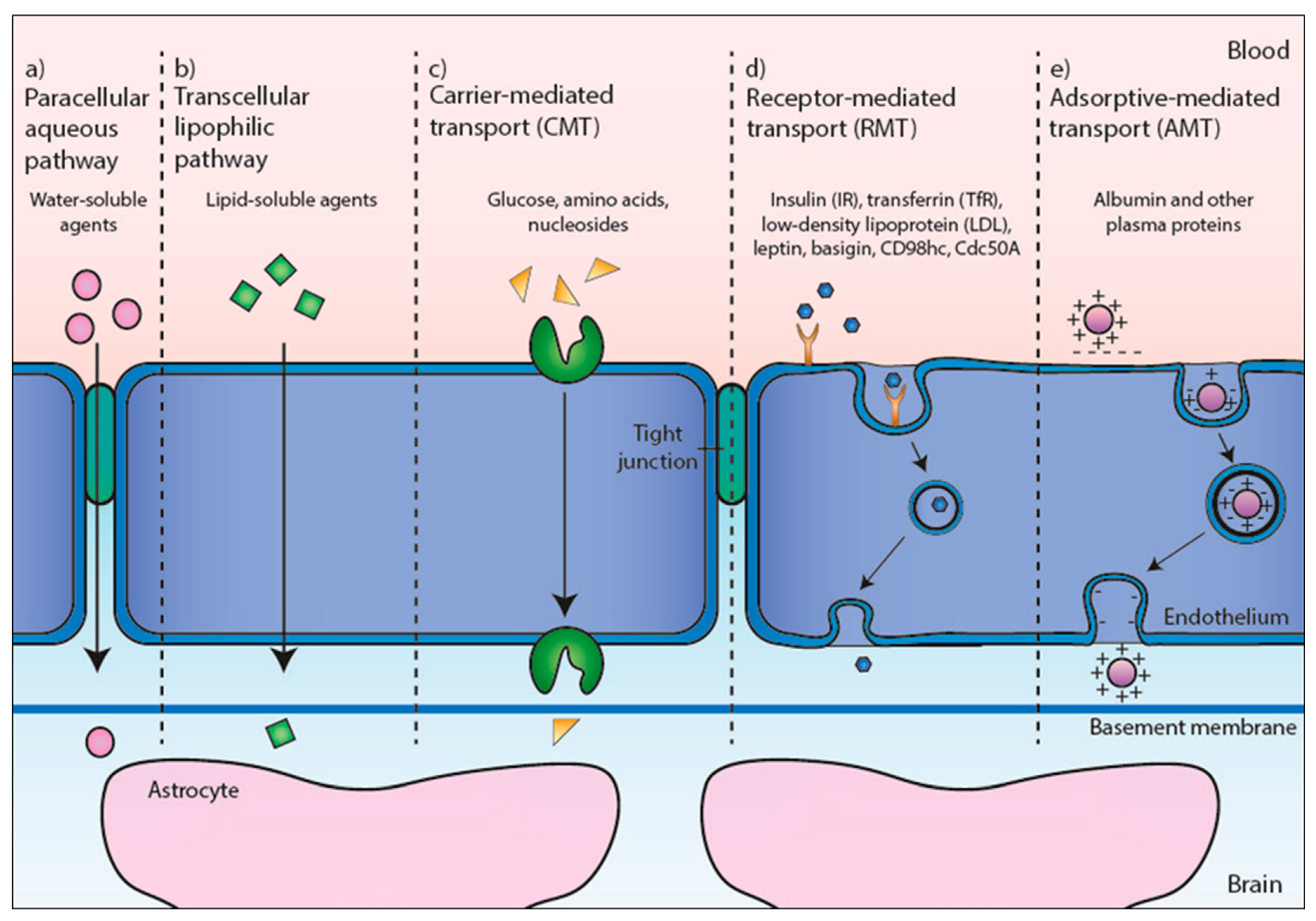 Pharmaceutics 12 00062 g002