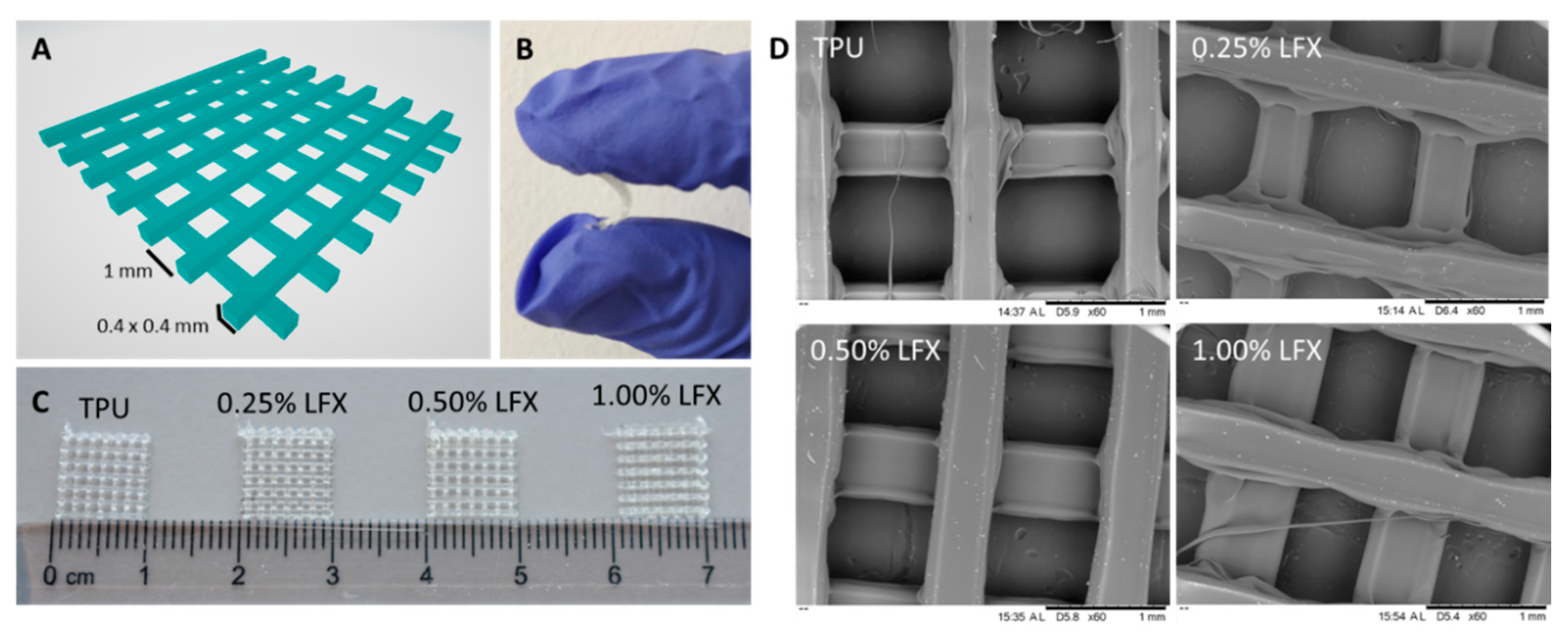 Pharmaceutics 12 00063 g002