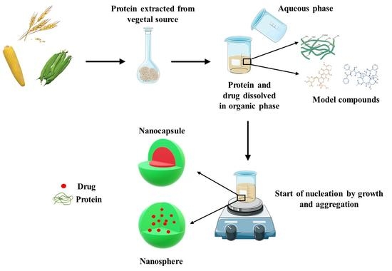 Pharmaceutics Free Full Text Antitumor Features Of Vegetal Protein Based Nanotherapeutics Html