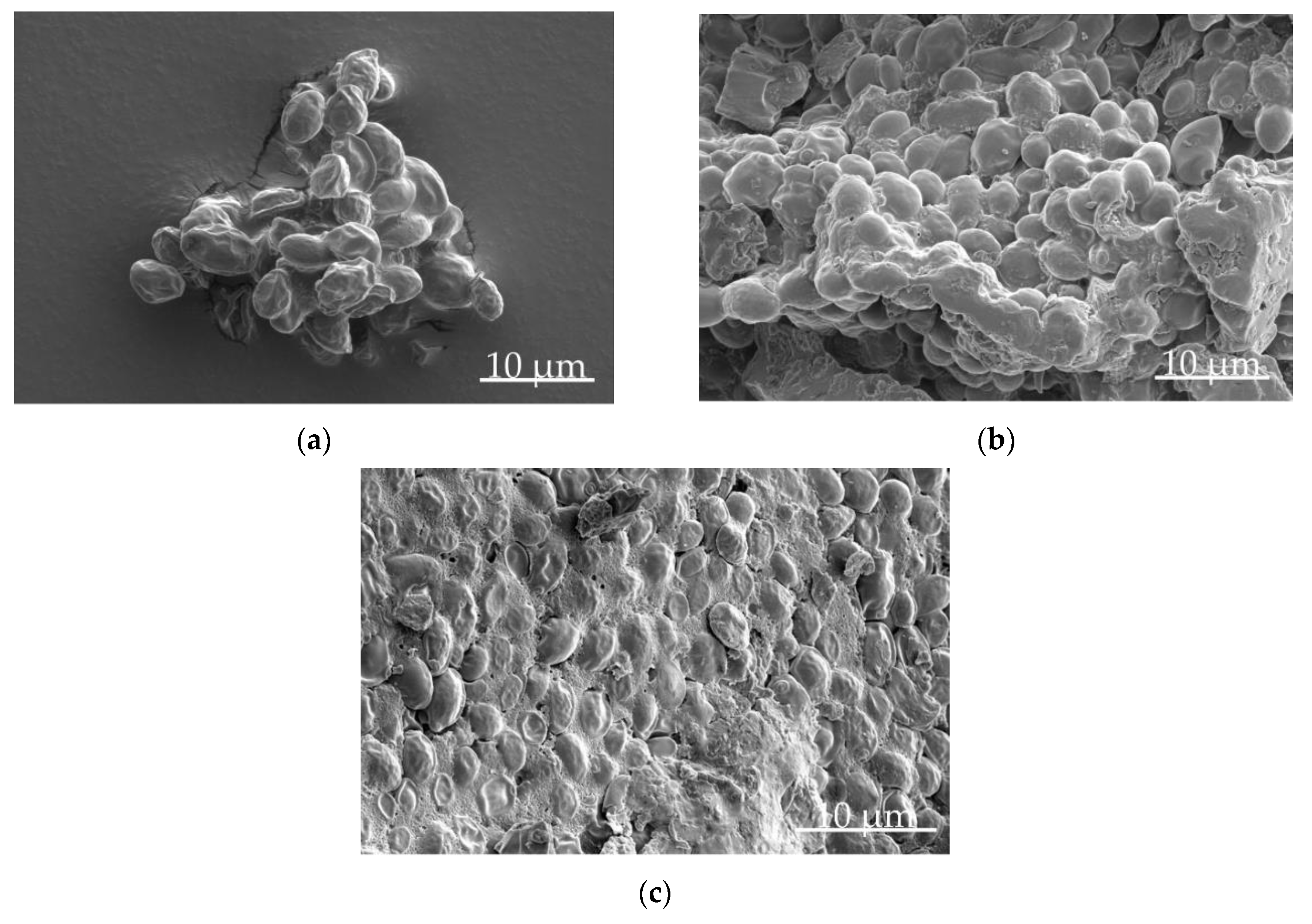 Pharmaceutics 12 00066 g003