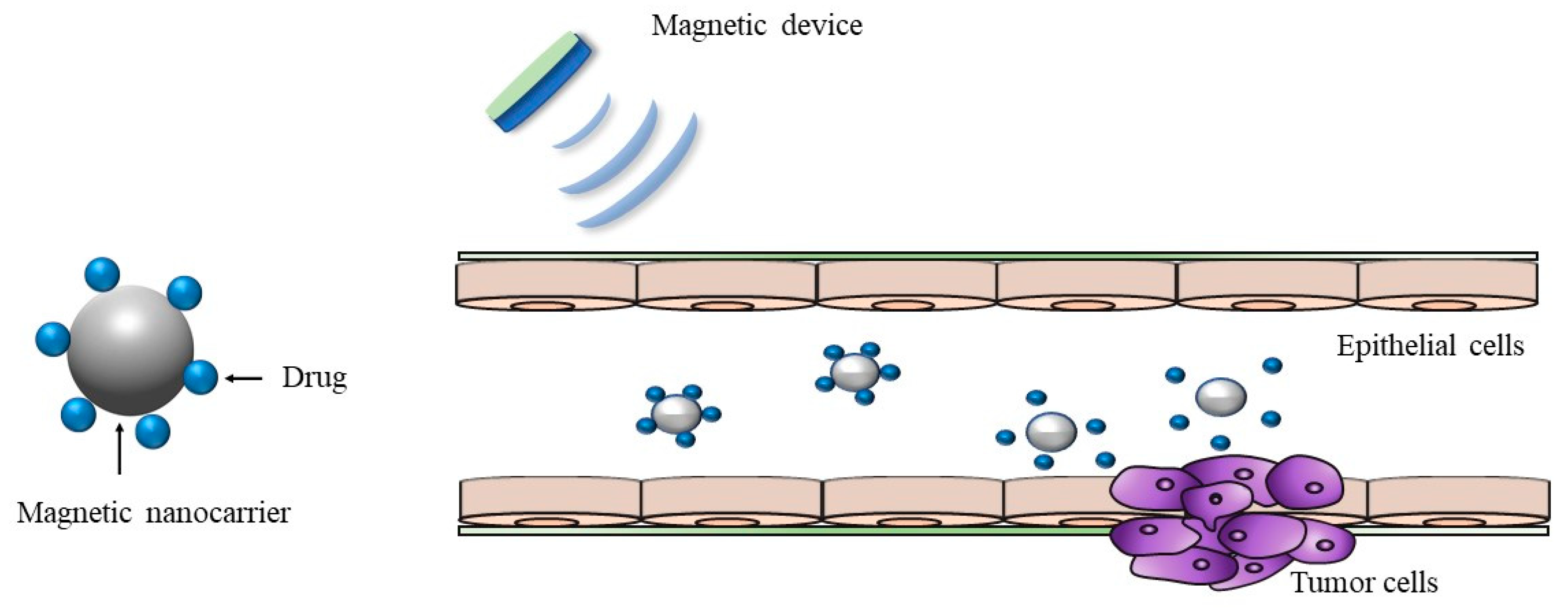 Pharmaceutics 12 00068 g004
