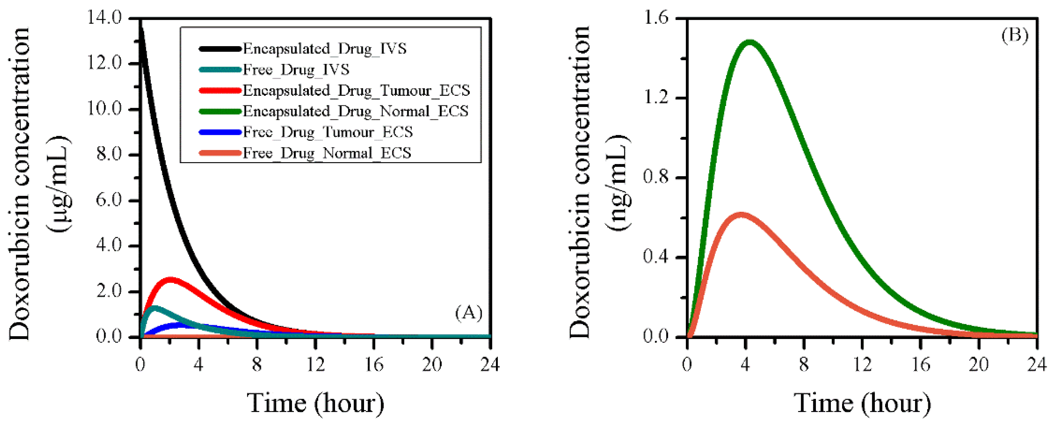 Pharmaceutics 12 00069 g005