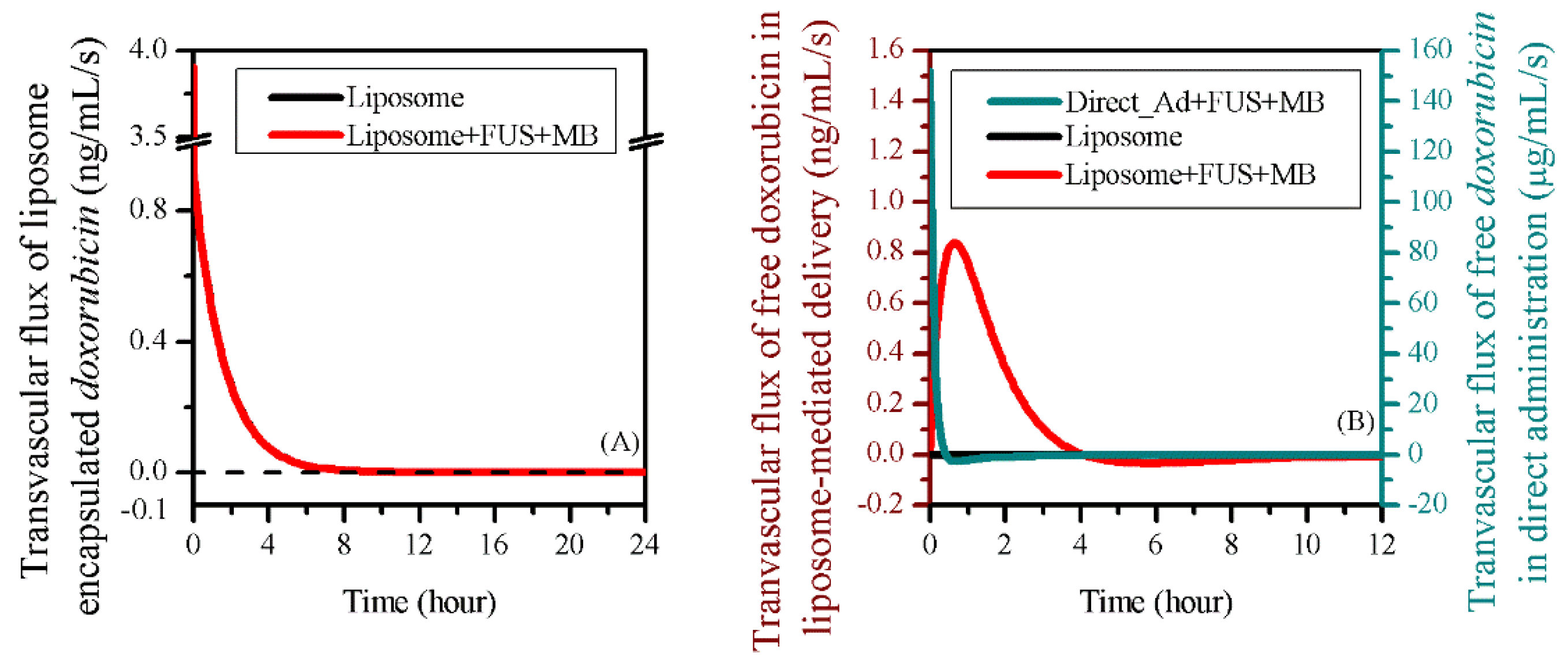 Pharmaceutics 12 00069 g007