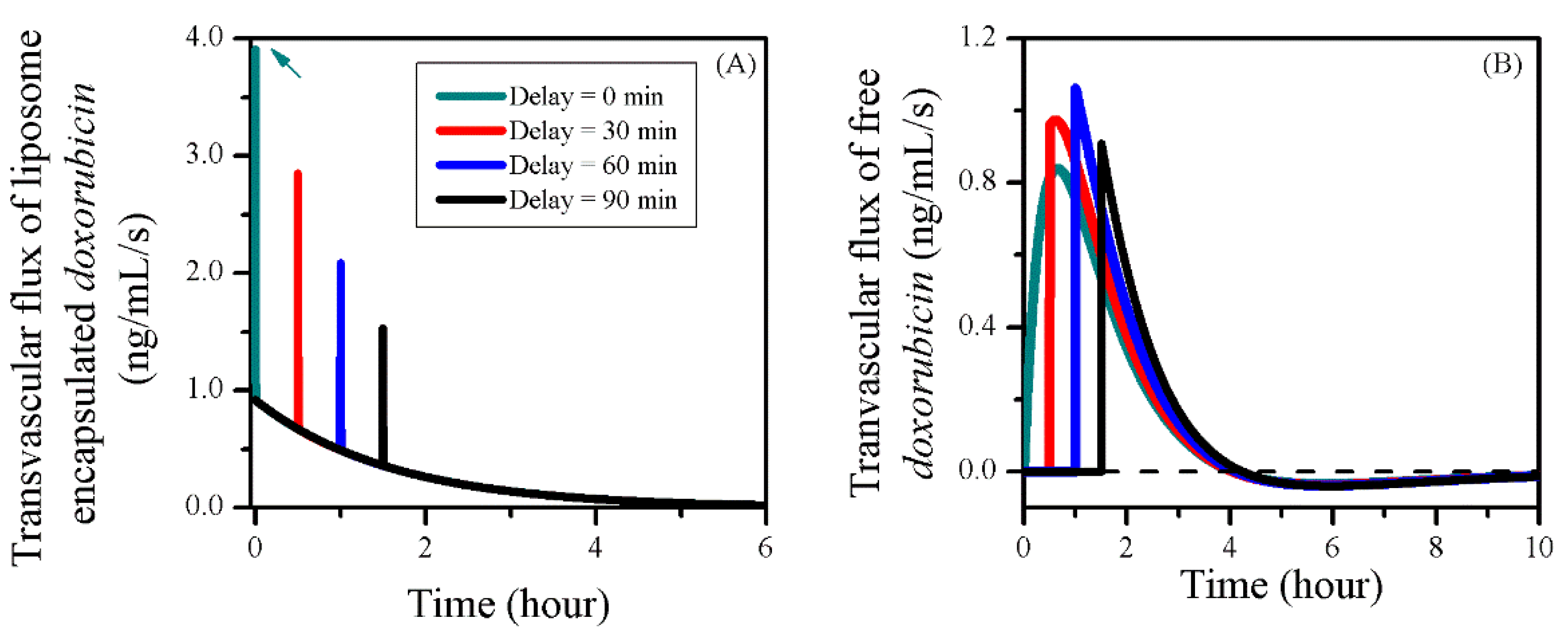 Pharmaceutics 12 00069 g011