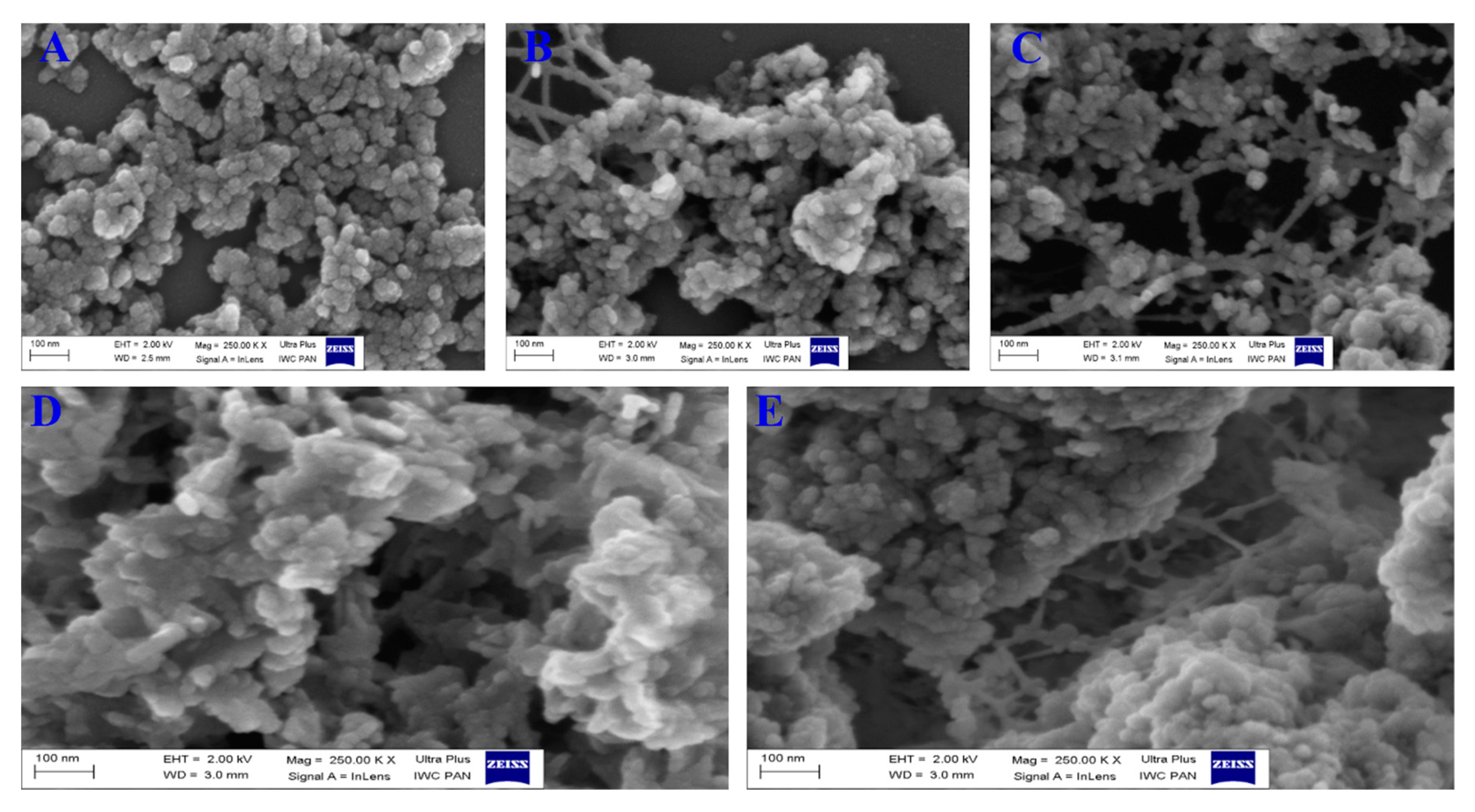 Pharmaceutics 12 00070 g001