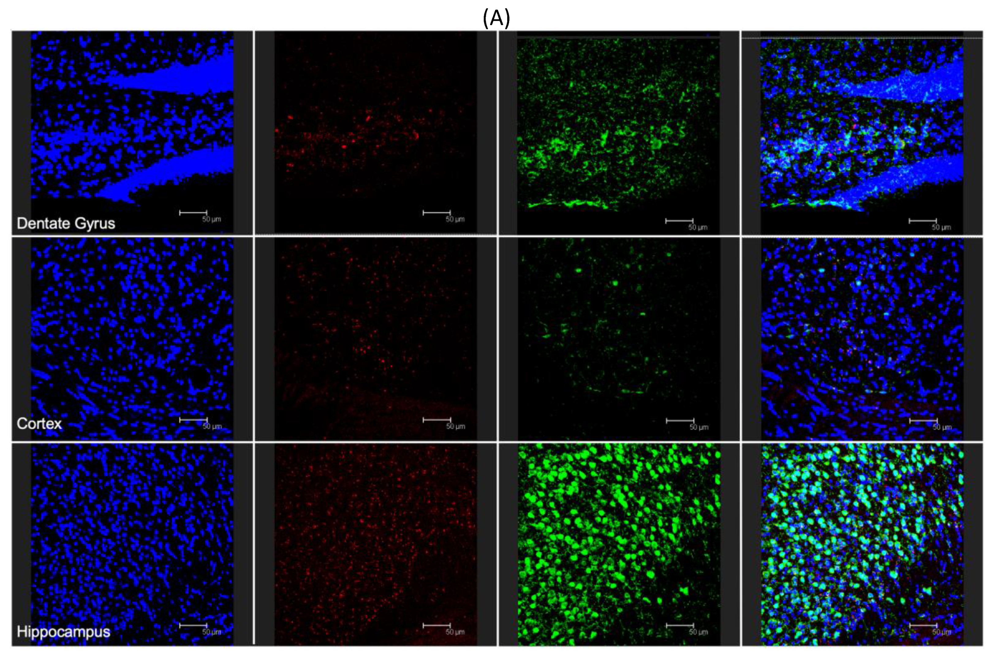Pharmaceutics 12 00072 g005a