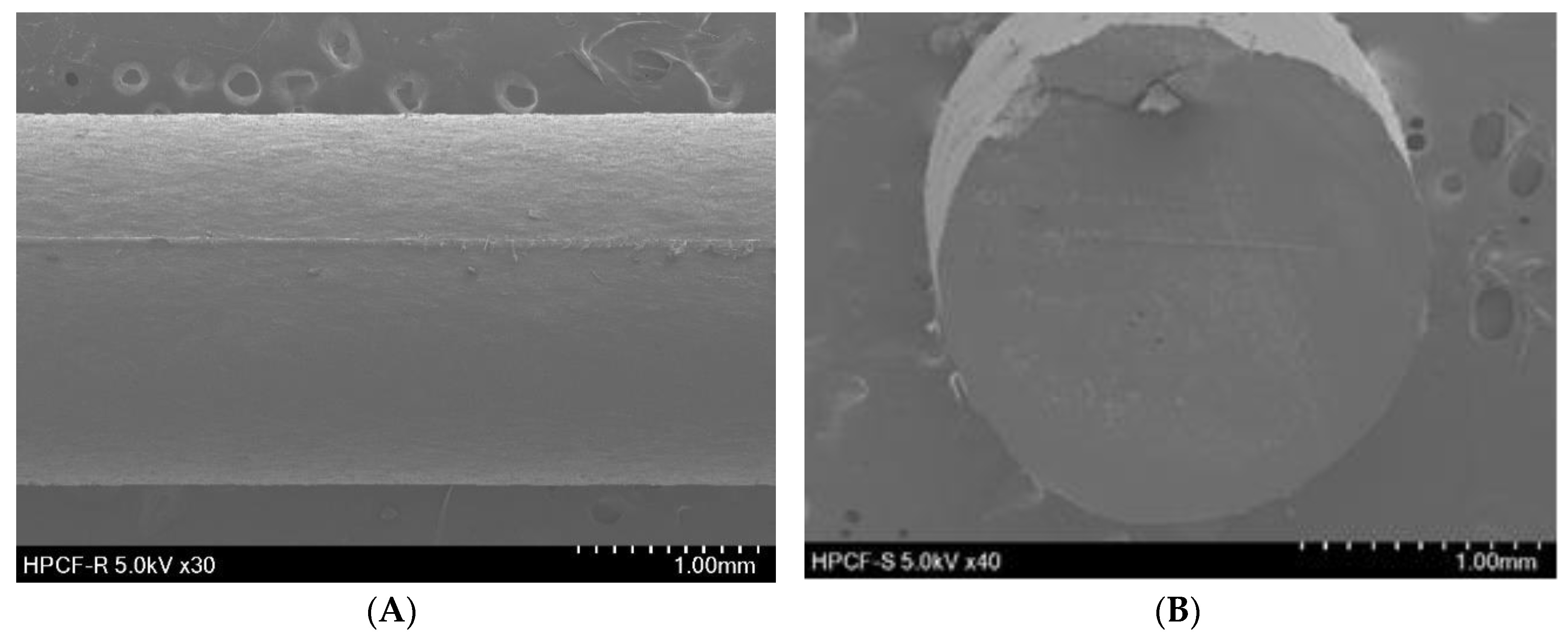 Pharmaceutics 12 00077 g001