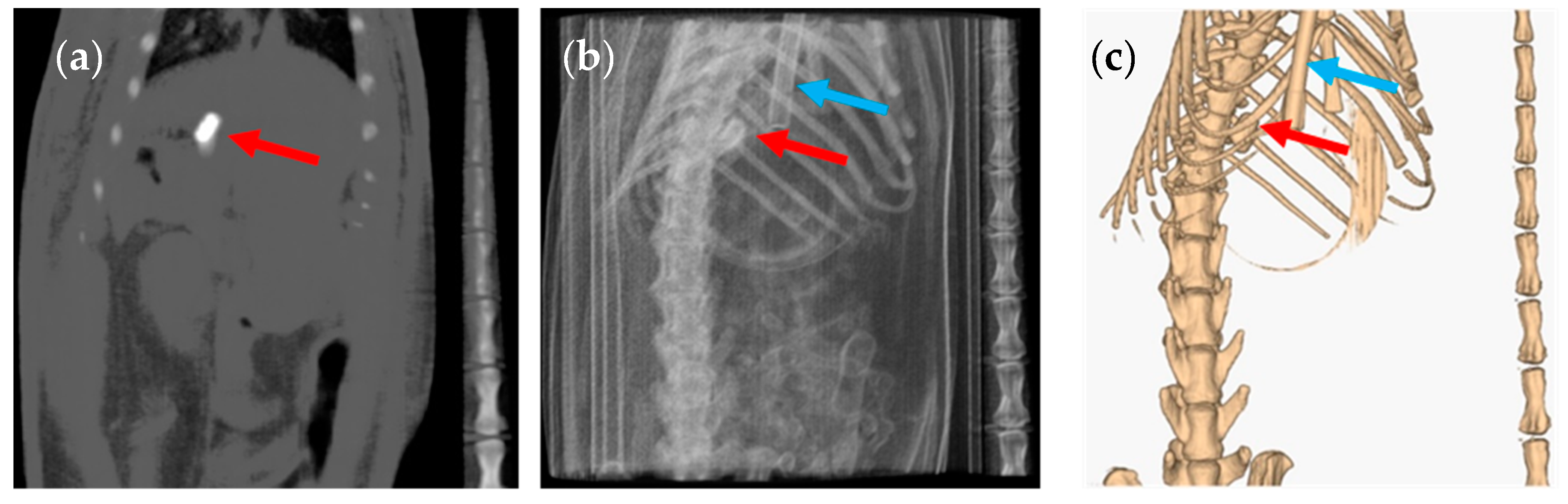 Pharmaceutics 12 00081 g003