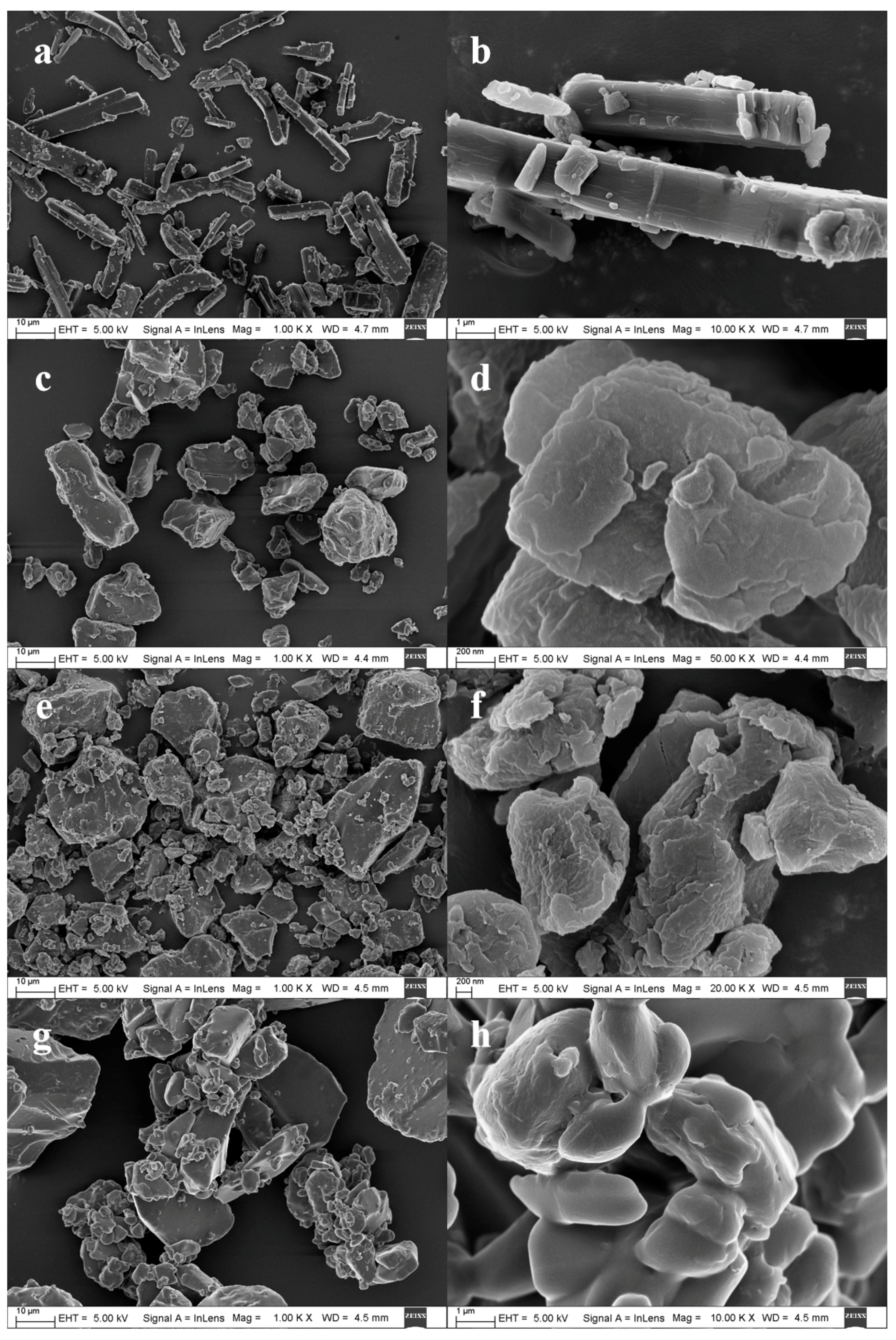 Pharmaceutics 12 00082 g004