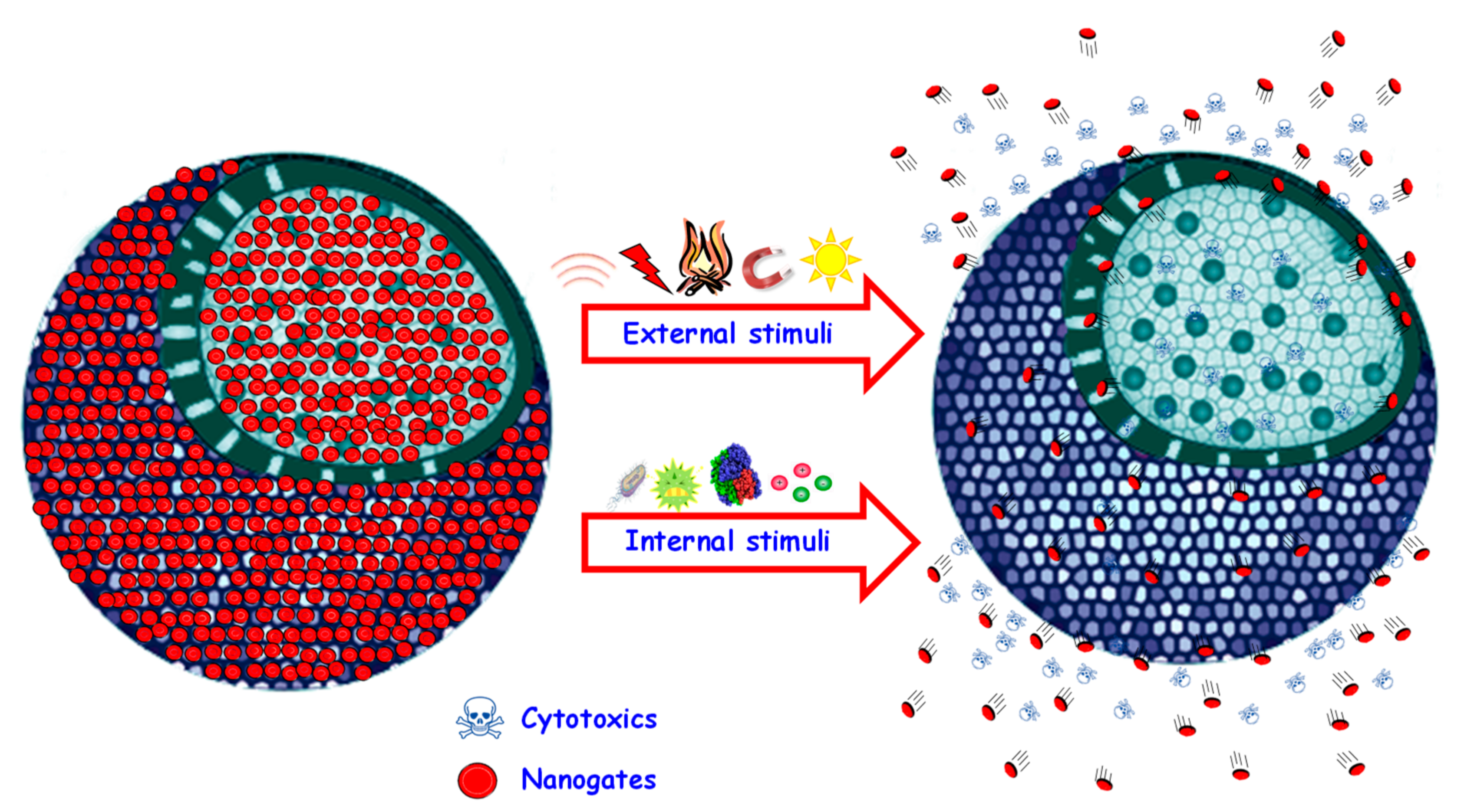 Pharmaceutics 12 00083 g002 Pharmaceutics 12 00083 g002