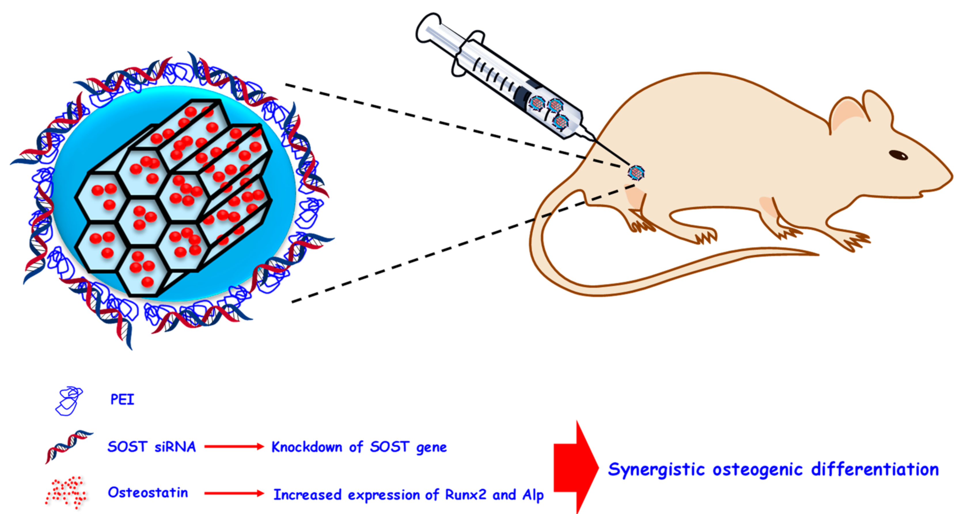 Pharmaceutics 12 00083 g007 Pharmaceutics 12 00083 g007