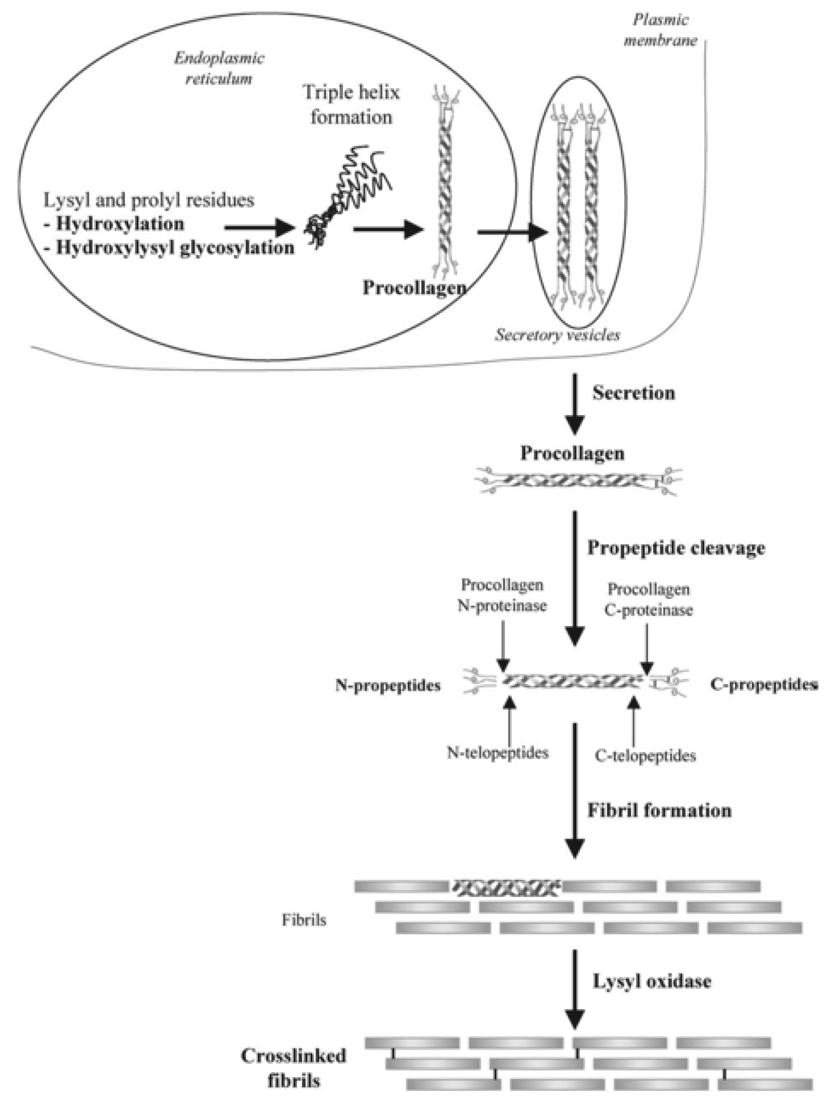 Pharmaceutics 12 00095 g002 Pharmaceutics 12 00095 g002