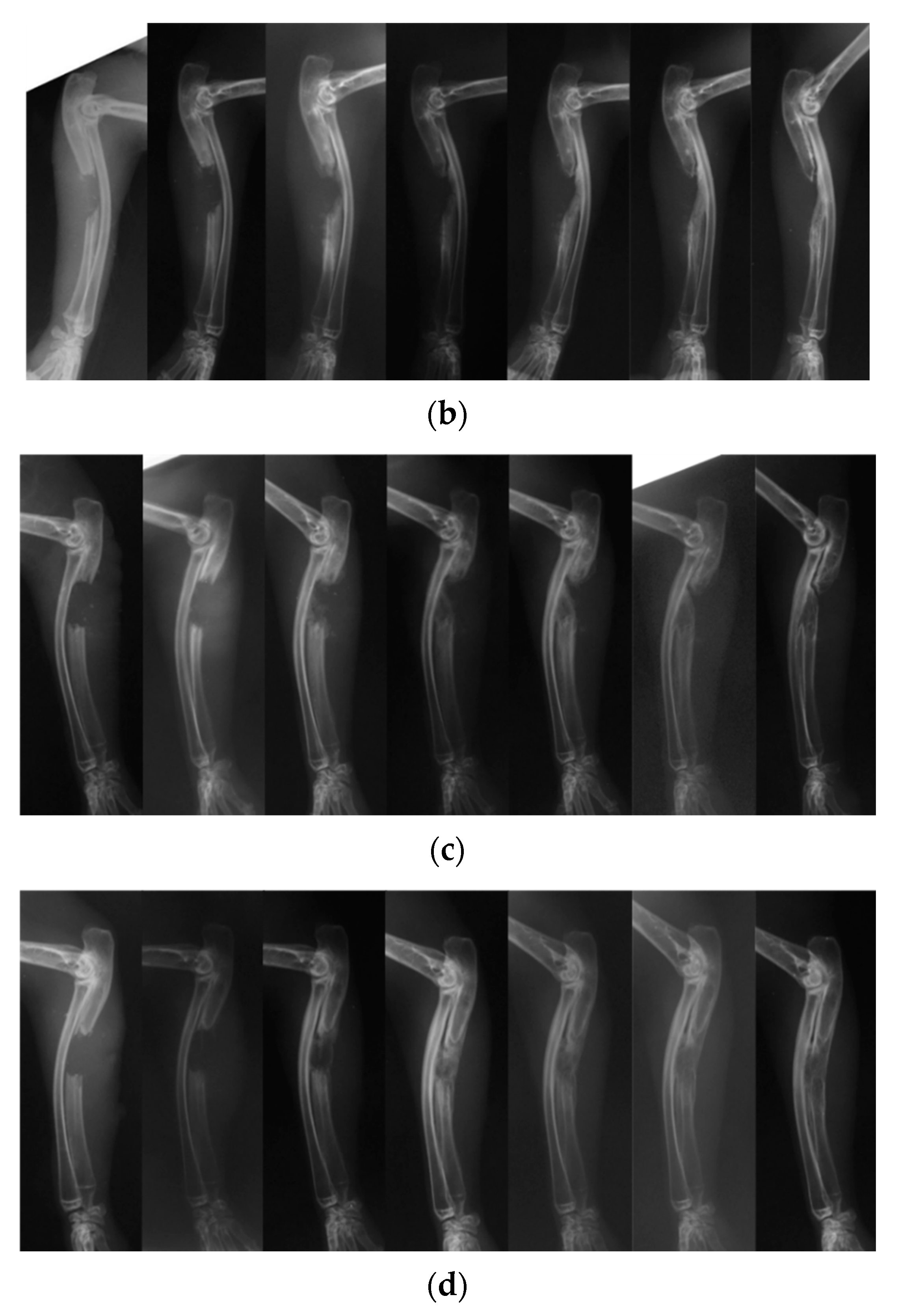 Pharmaceutics 12 00095 g006b Pharmaceutics 12 00095 g006b