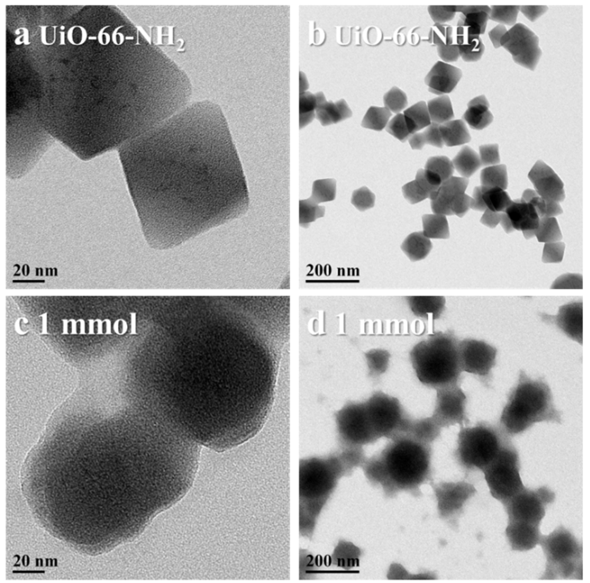 Pharmaceutics 12 00098 g002 Pharmaceutics 12 00098 g002