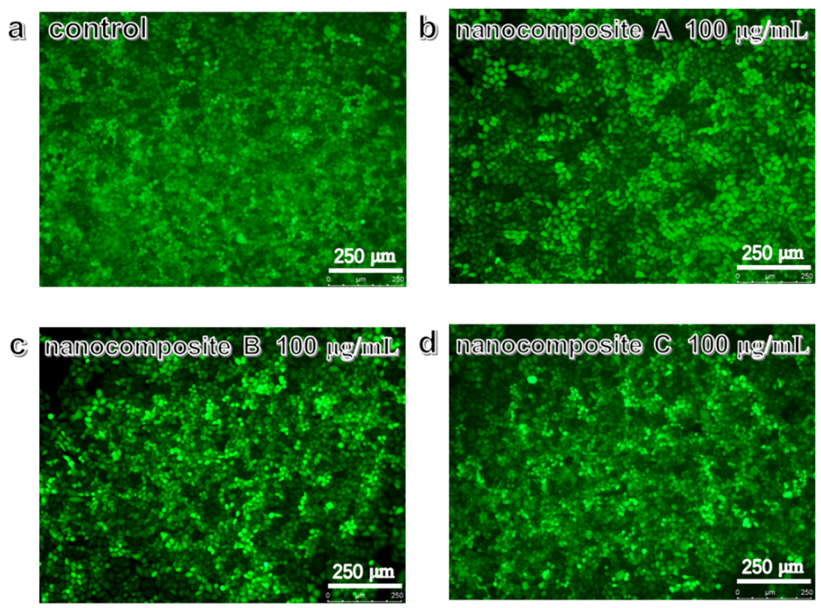 Pharmaceutics 12 00098 g008 Pharmaceutics 12 00098 g008