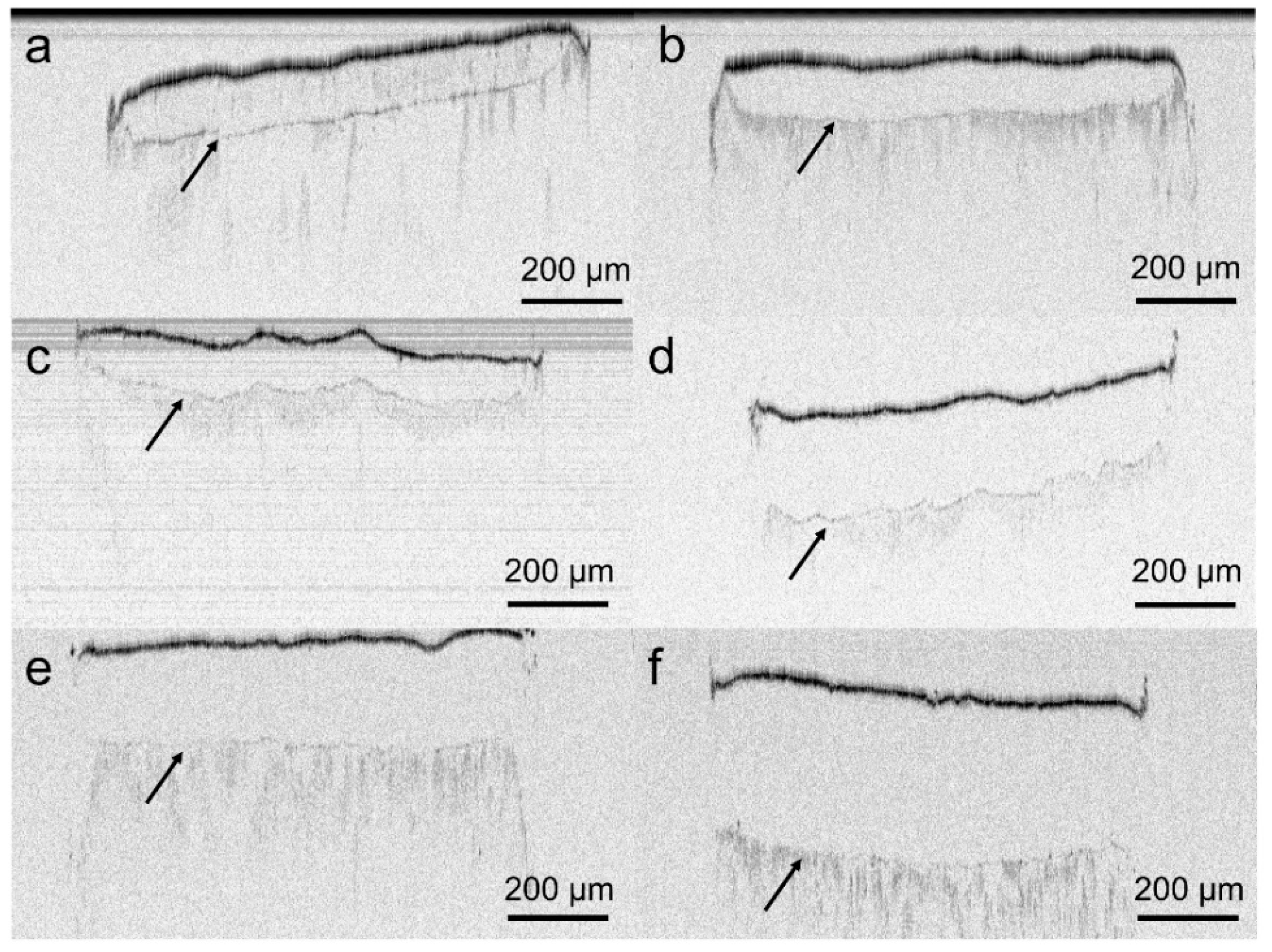 Pharmaceutics 12 00103 g004 Pharmaceutics 12 00103 g004