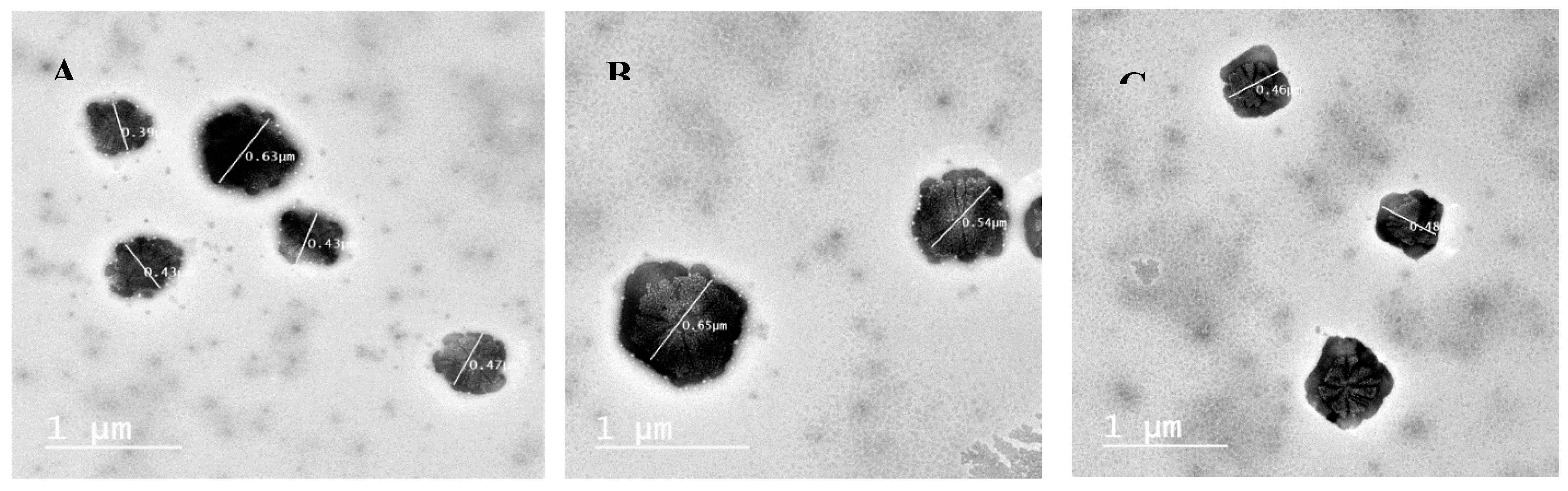 Pharmaceutics 12 00107 g005 Pharmaceutics 12 00107 g005
