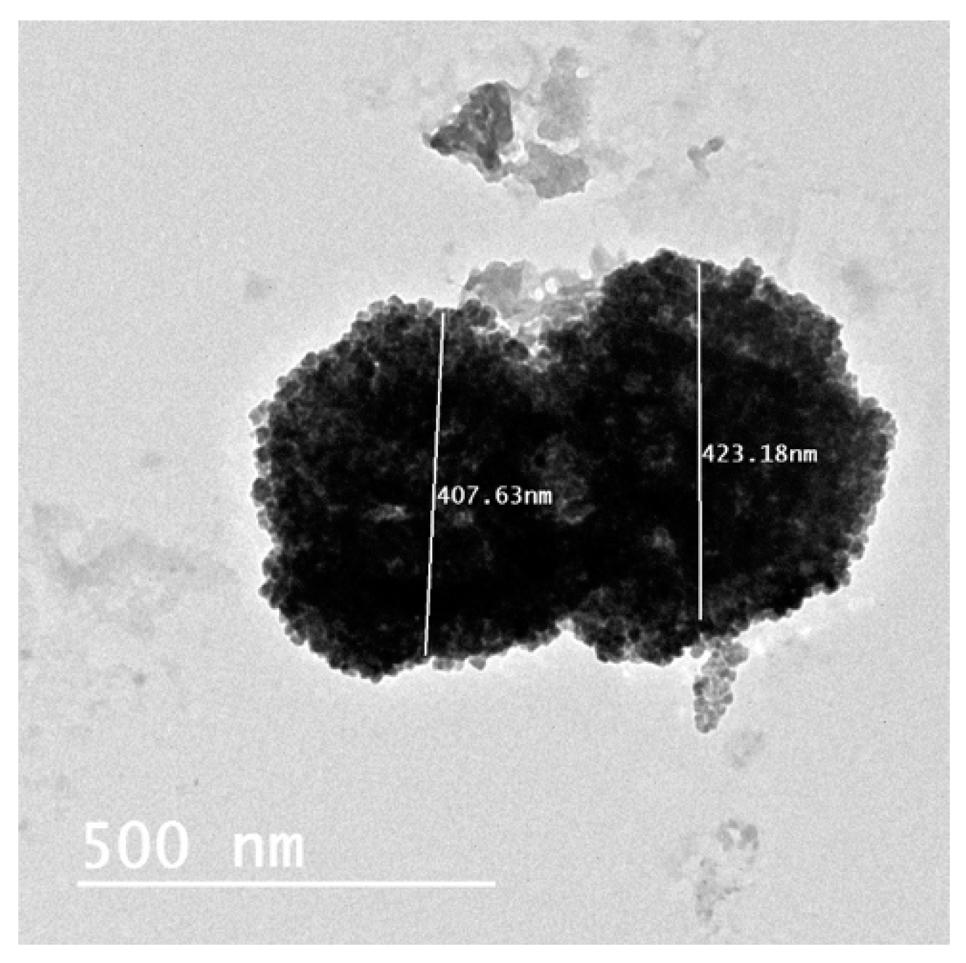 Pharmaceutics 12 00107 g006 Pharmaceutics 12 00107 g006