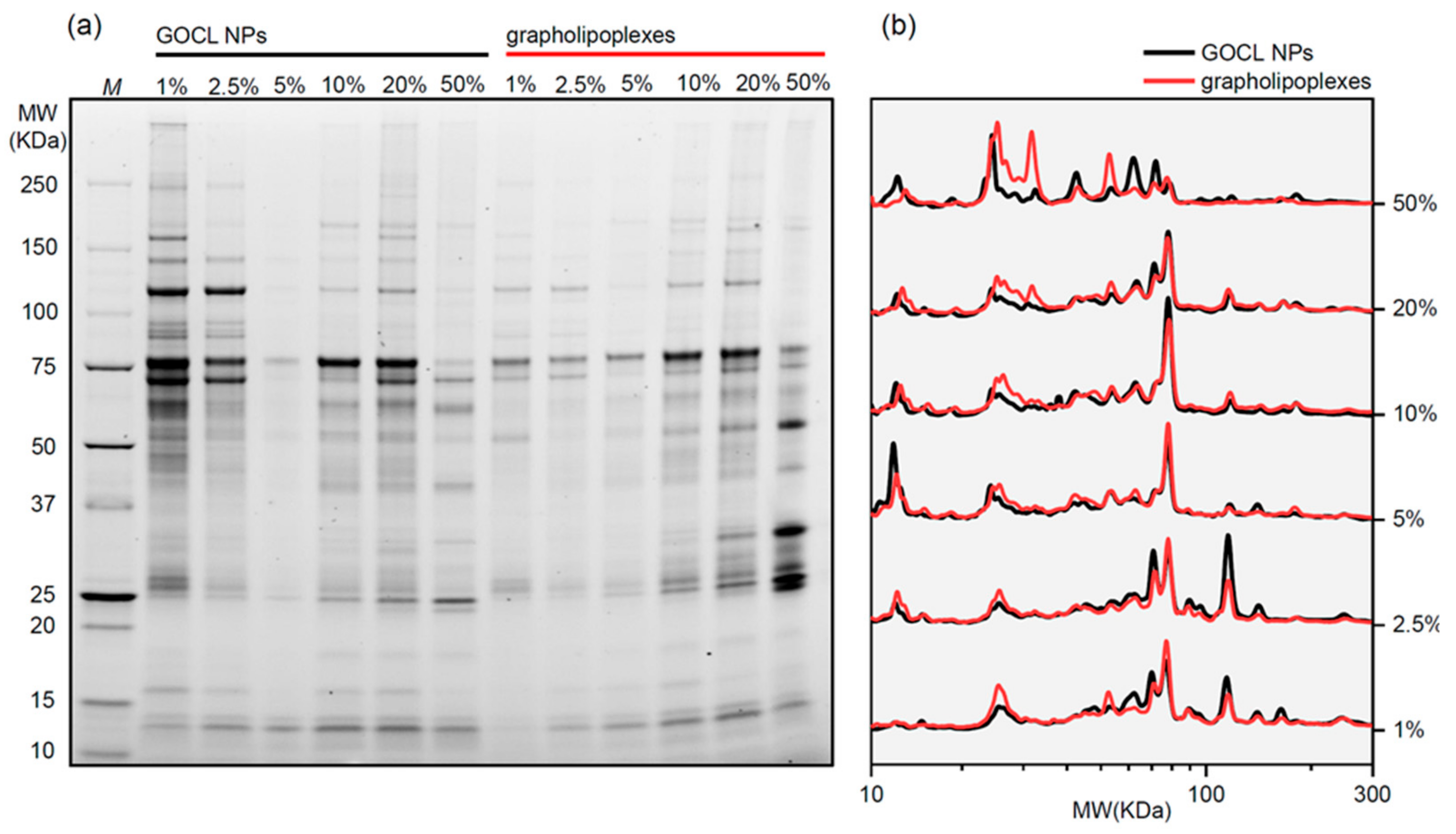 Pharmaceutics 12 00113 g003 Pharmaceutics 12 00113 g003